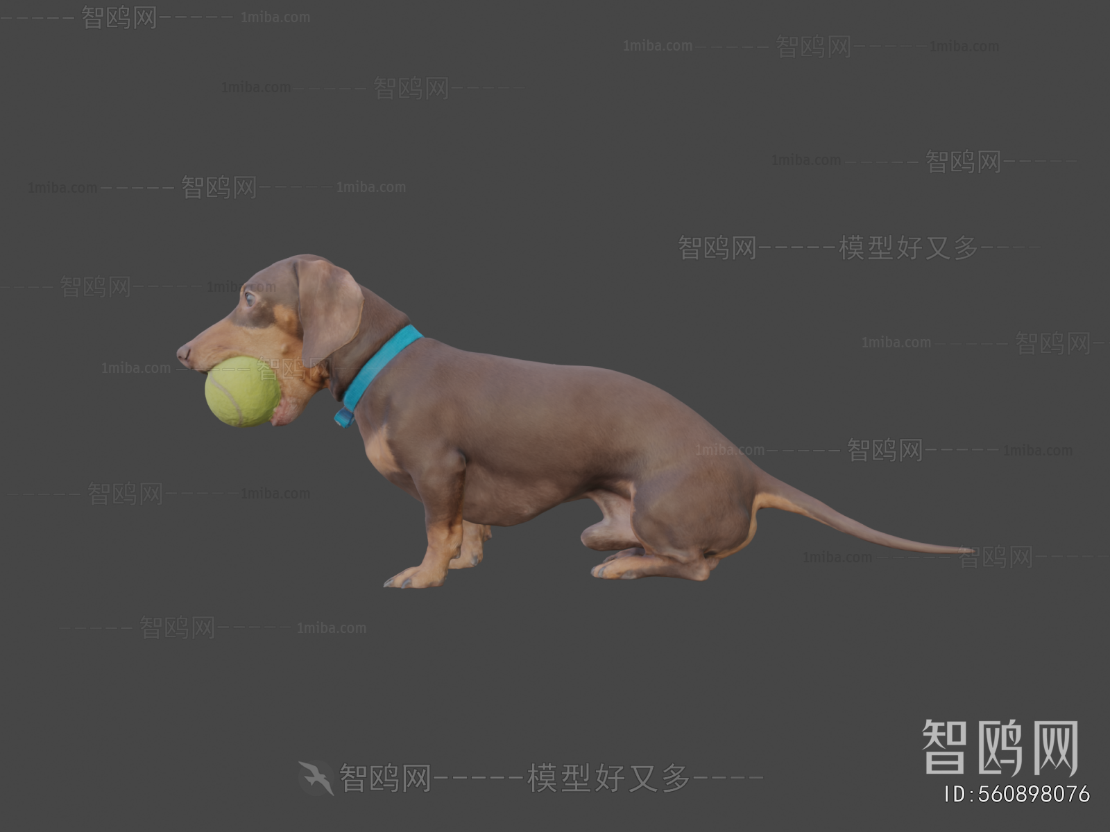 Modern Animal Dog