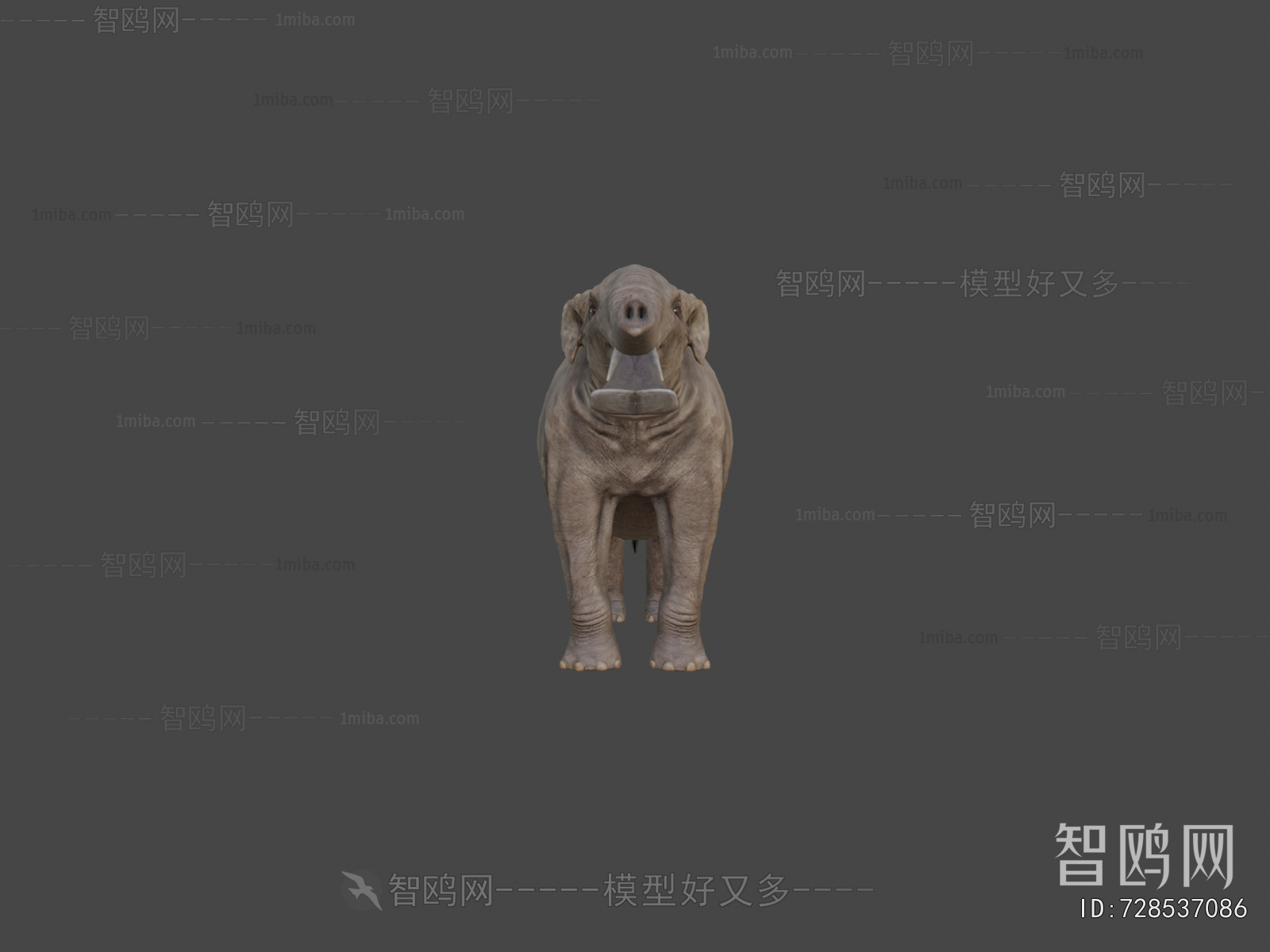 Modern Mammal