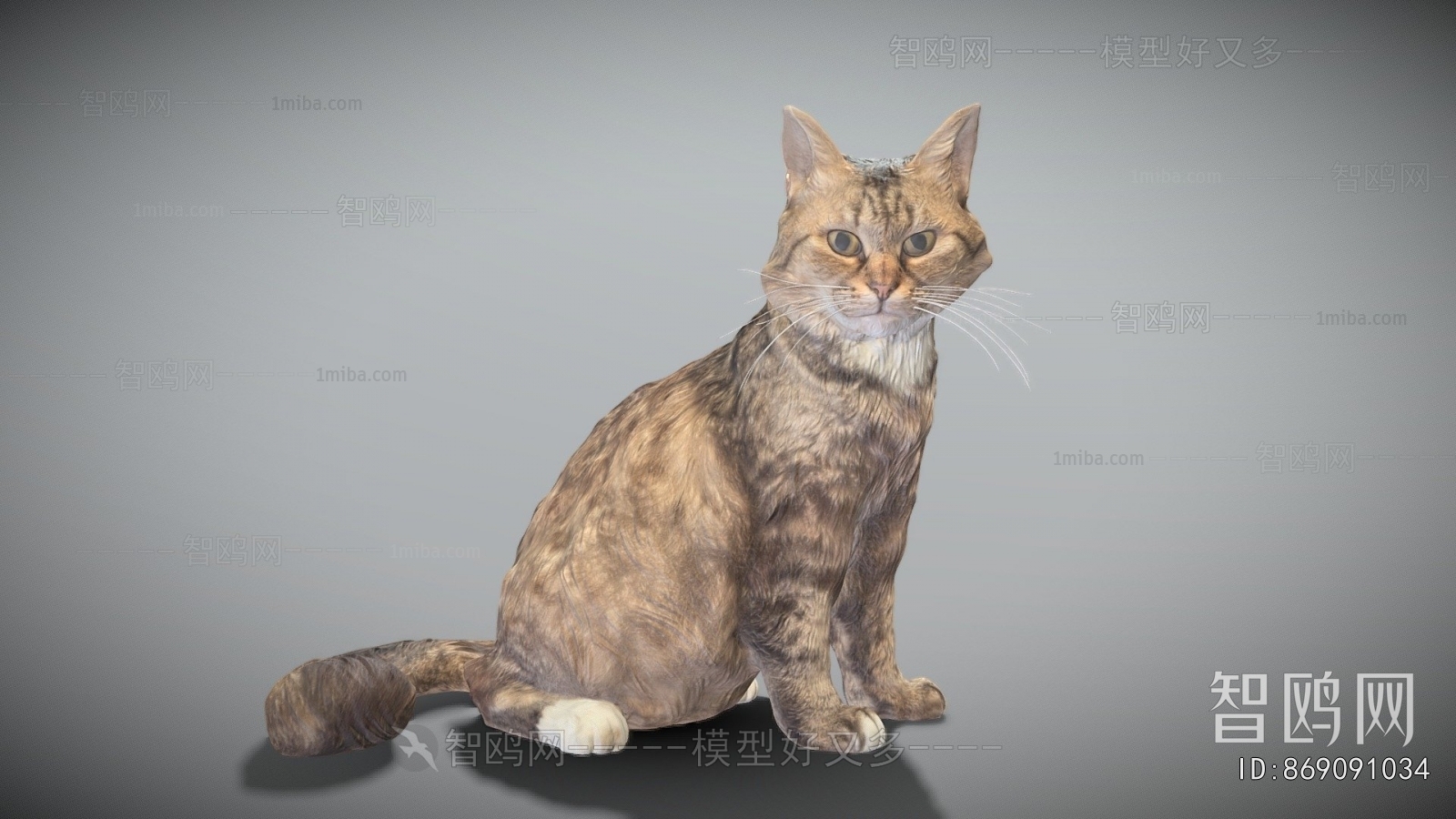 Modern Animal Cat