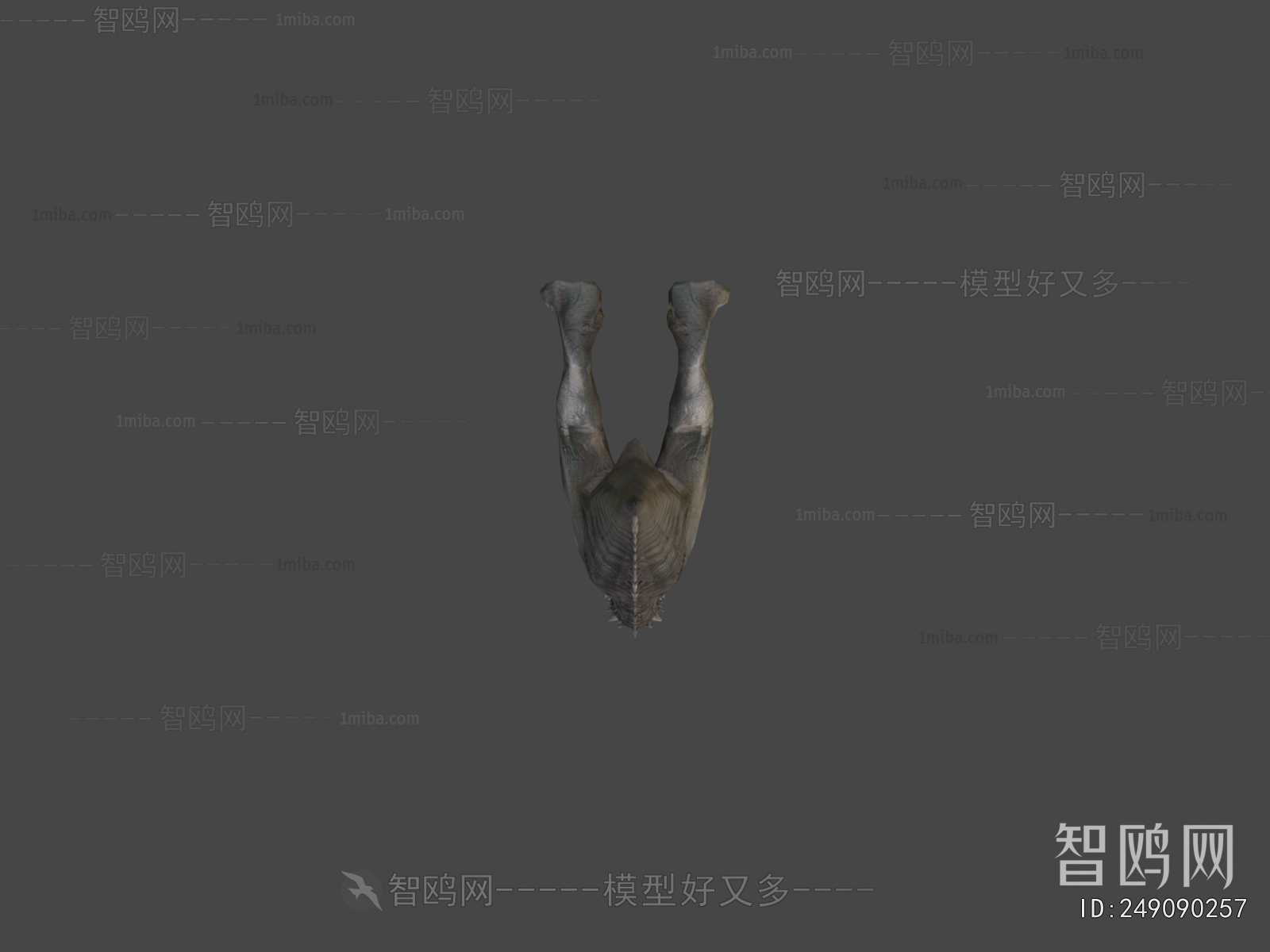 Modern Animal