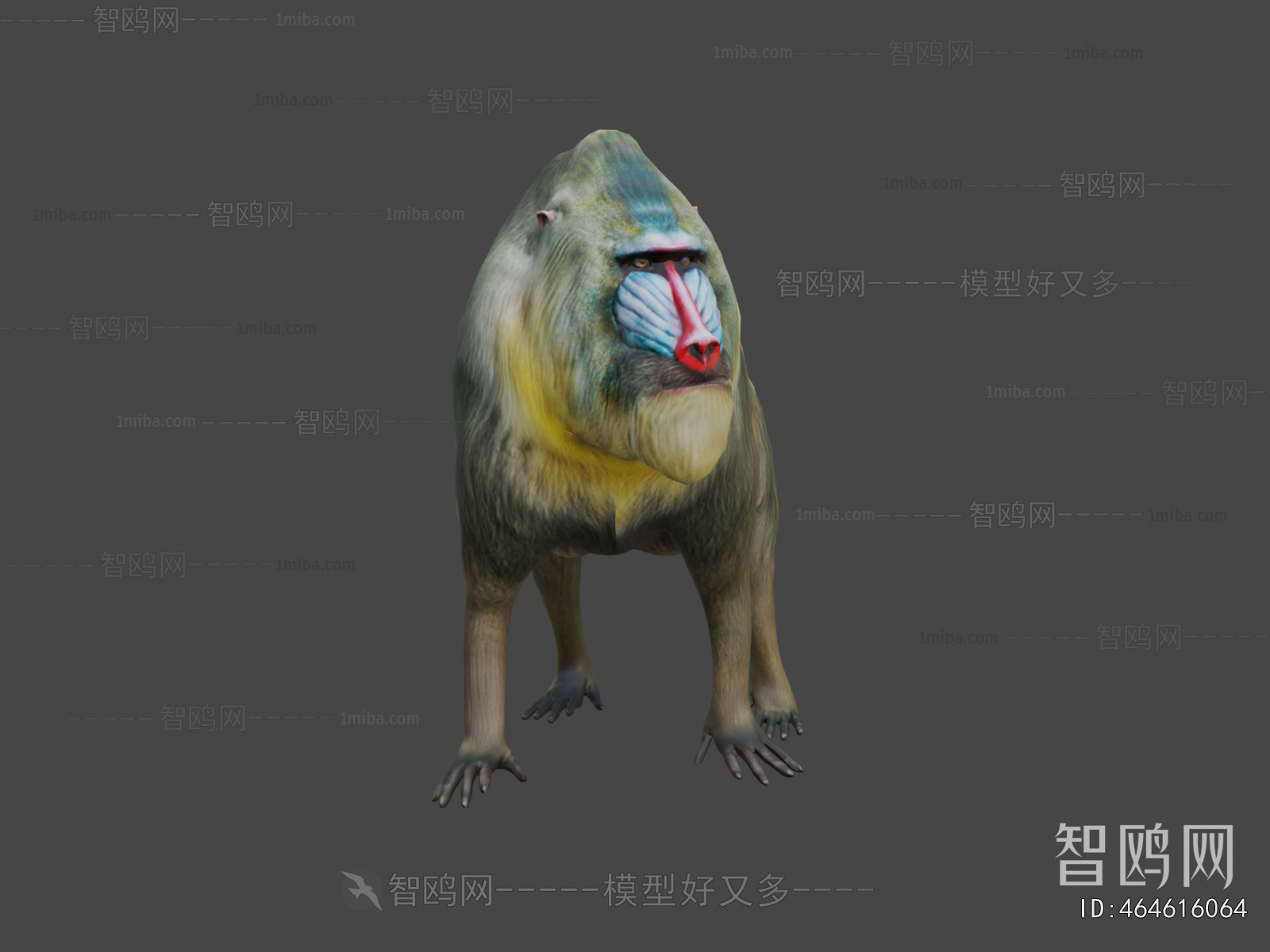 Modern Animal