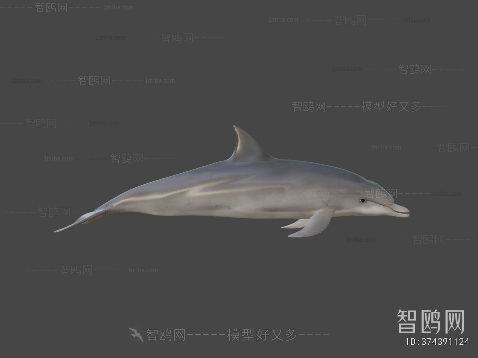 Modern Aquatic Animals