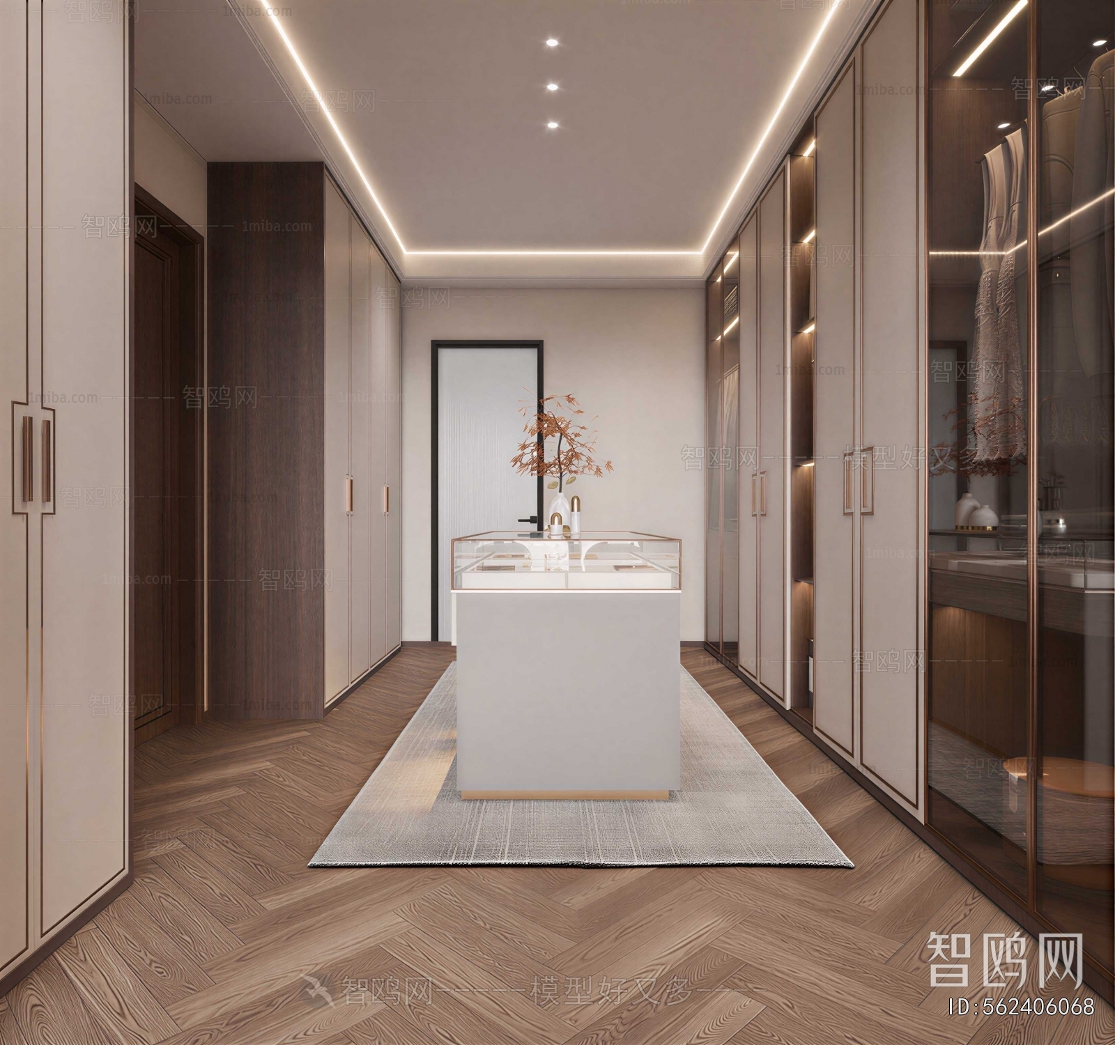 Modern Clothes Storage Area