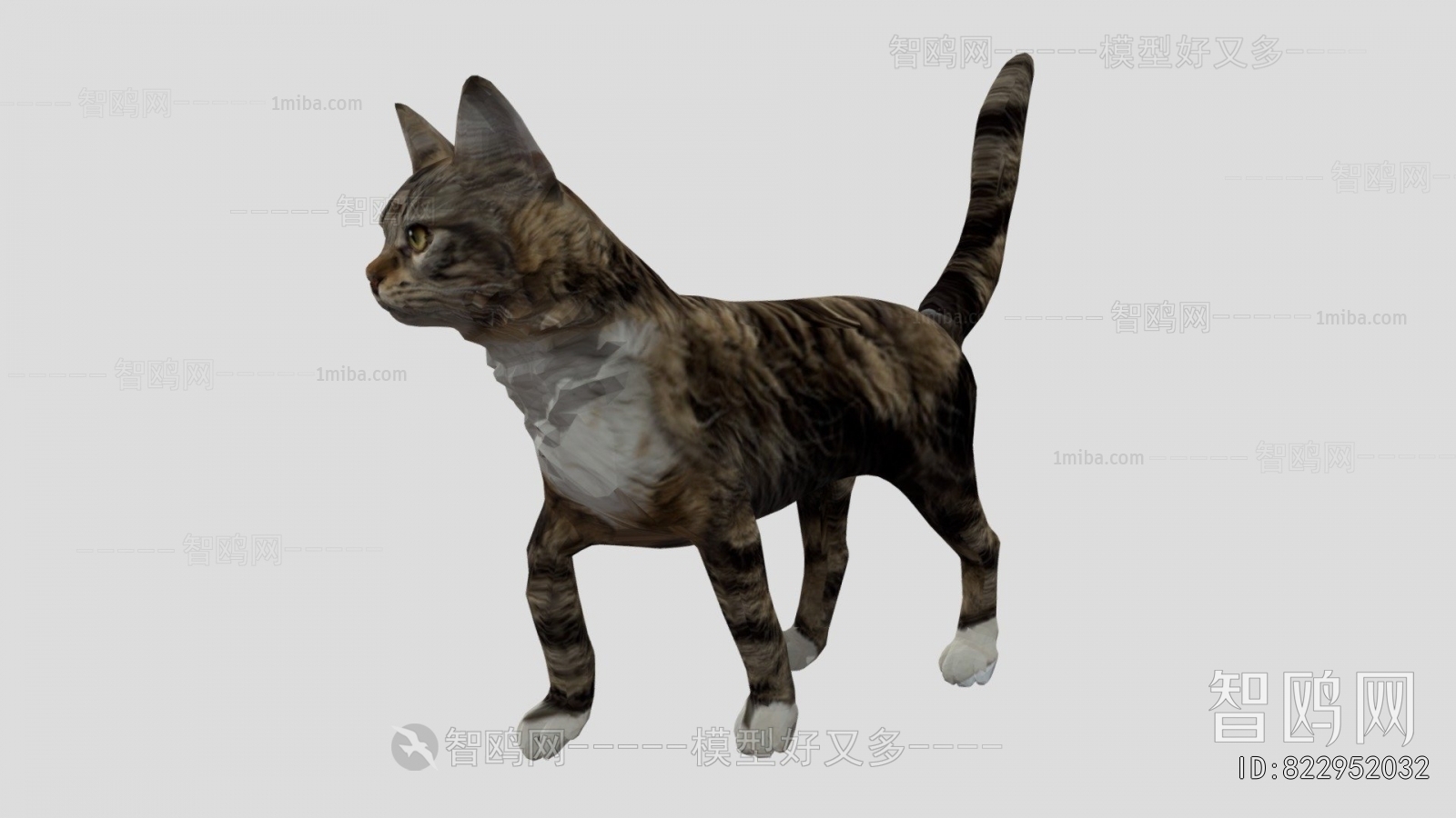 Modern Animal Cat