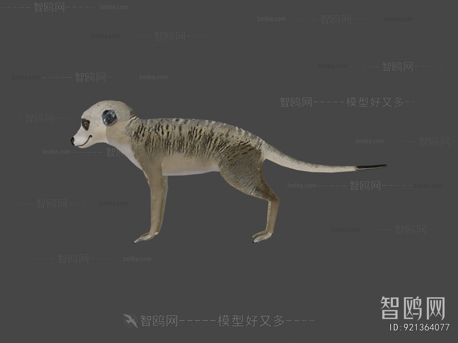Modern Animal