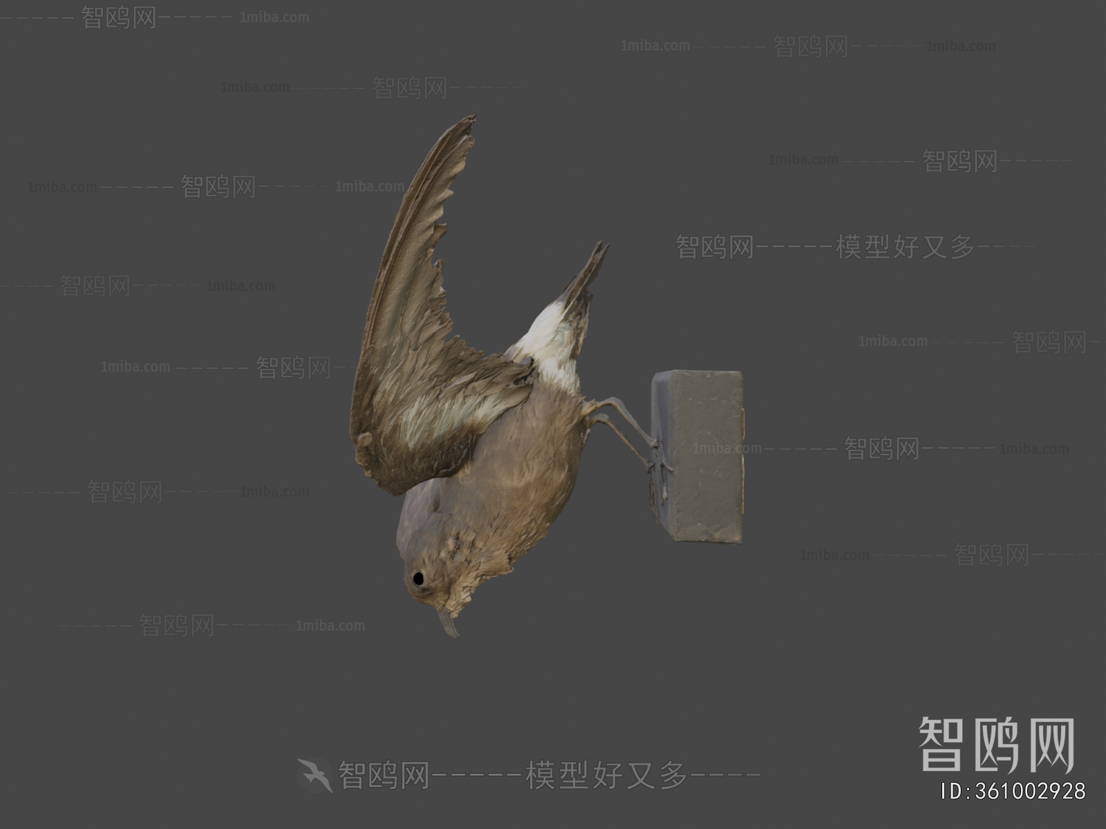 Modern Animal