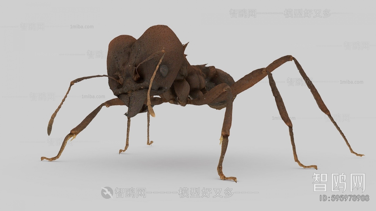 Modern Animal