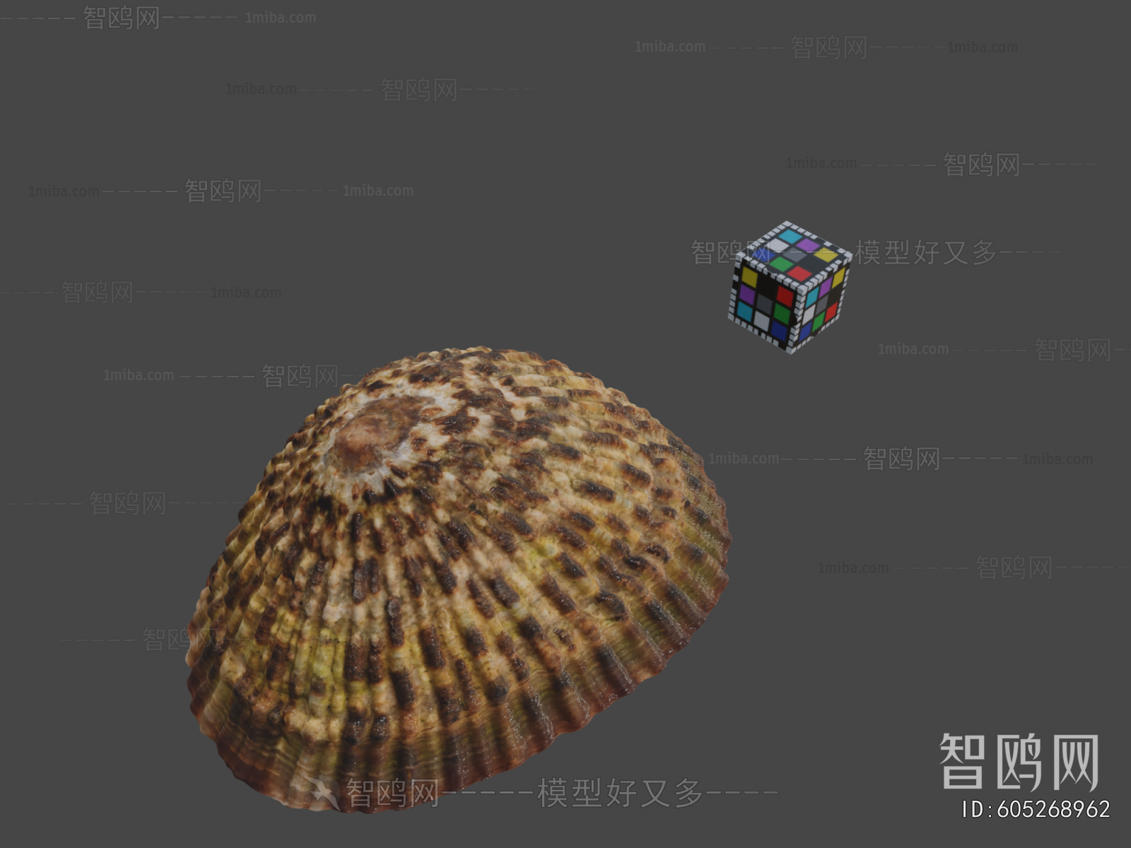 Modern Animal