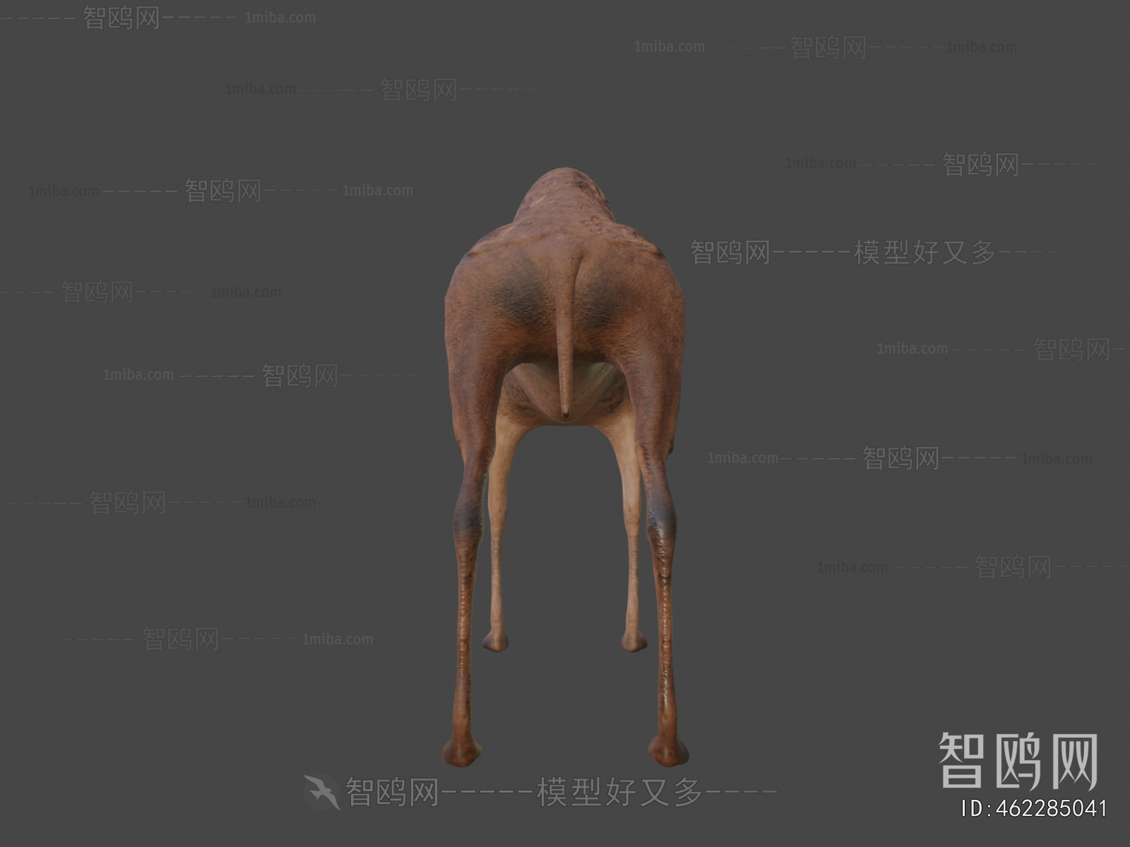 Modern Mammal