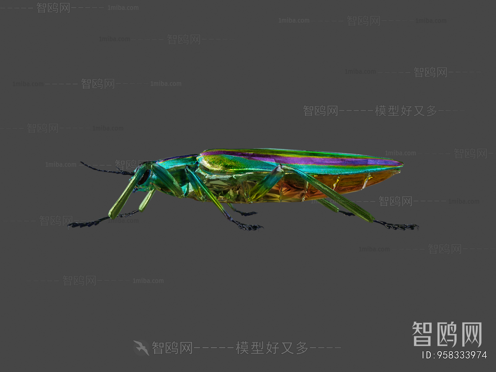 Modern Animal