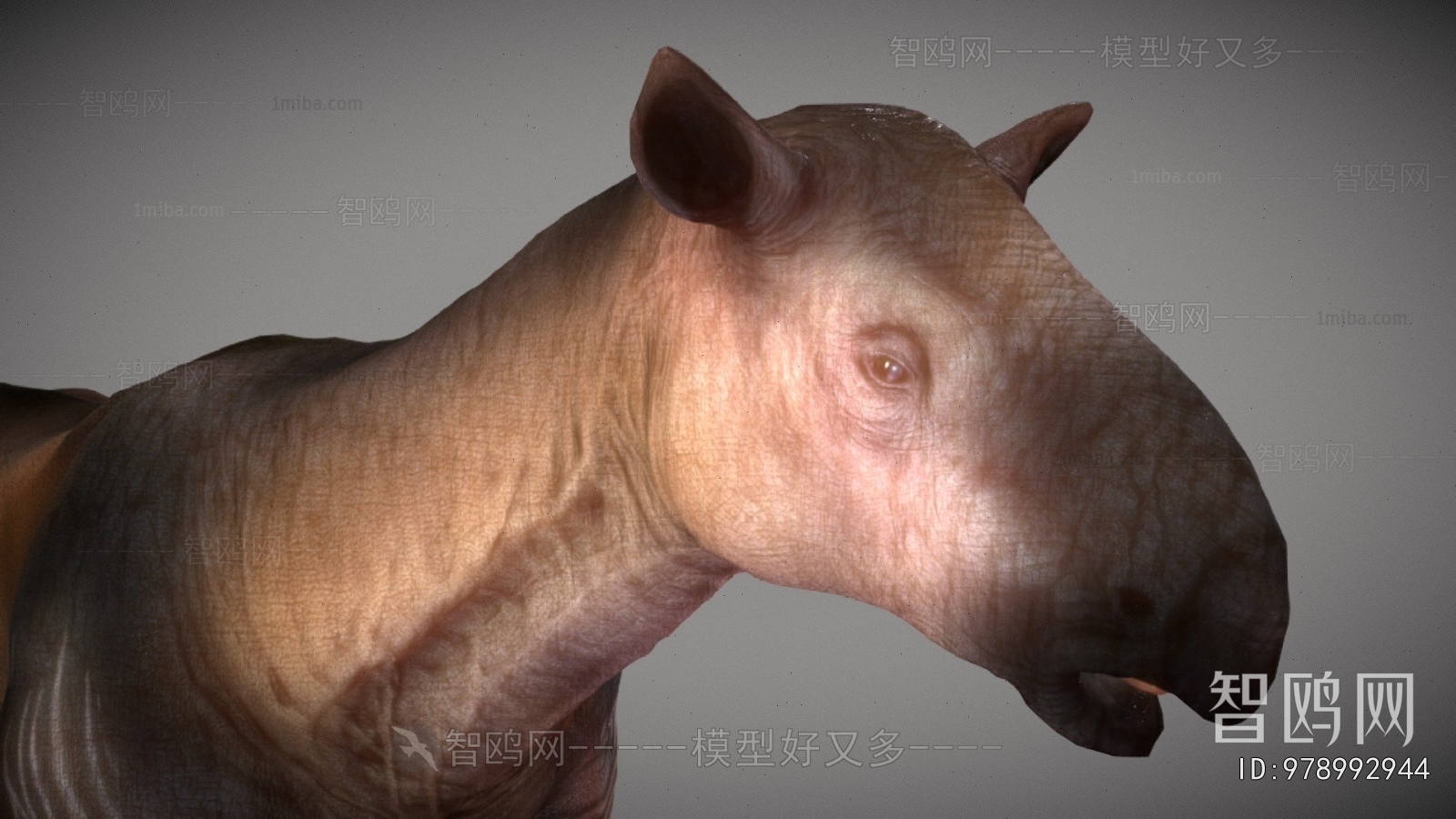Modern Mammal