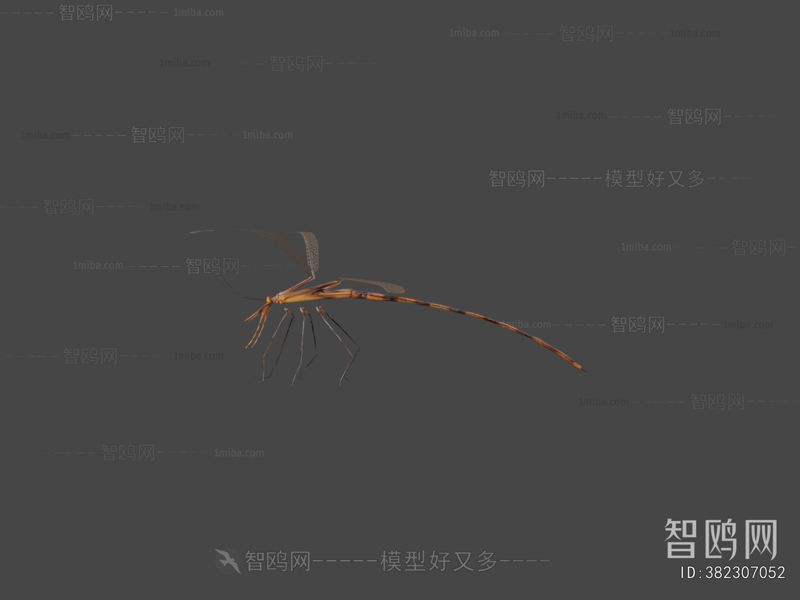 Modern Animal