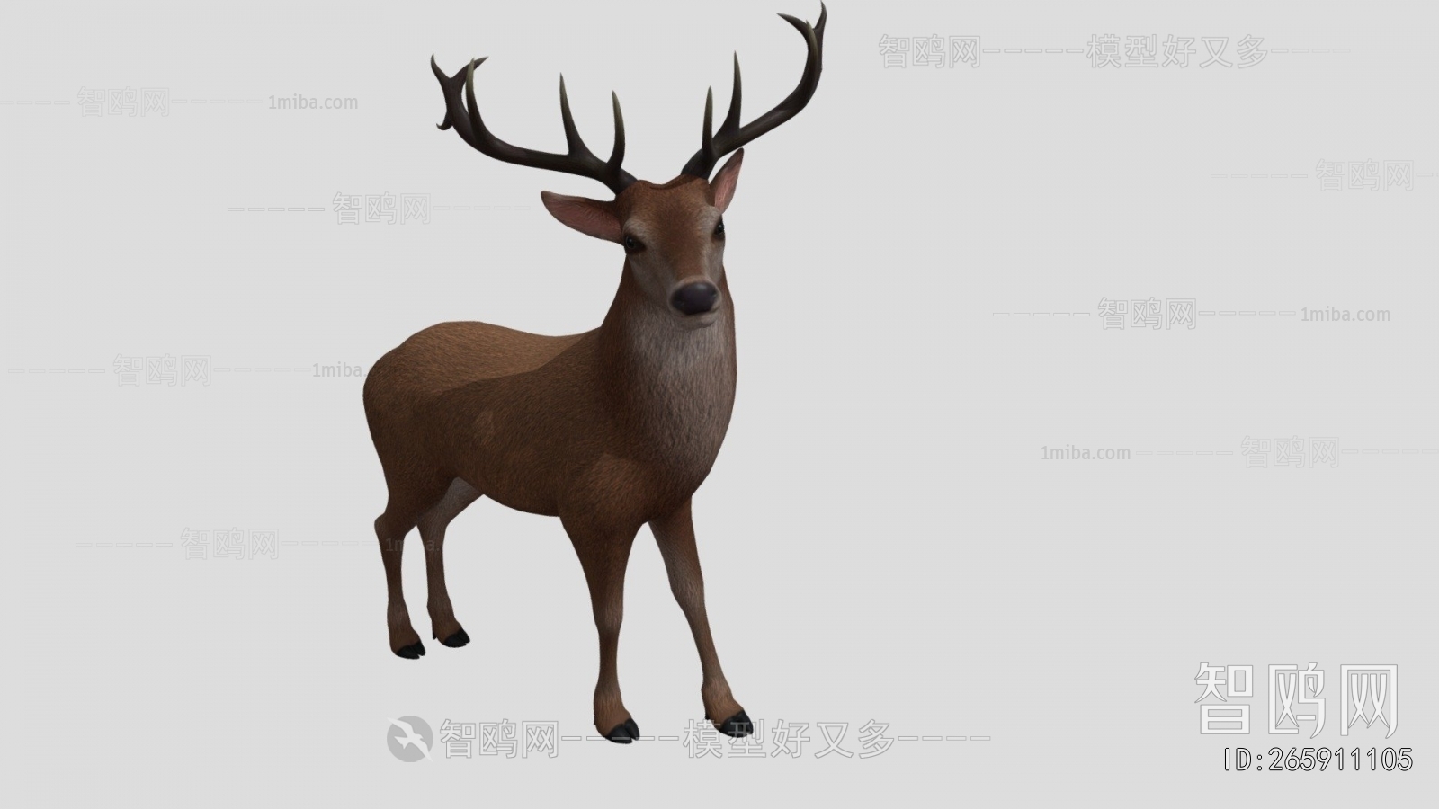 Modern Mammal