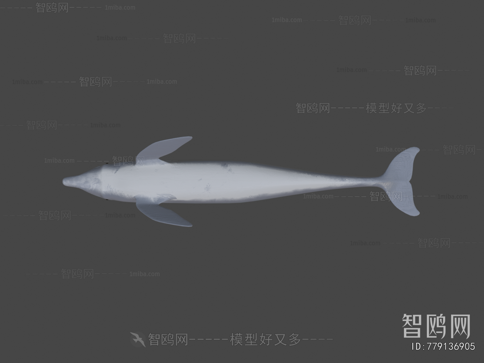 Modern Aquatic Animals