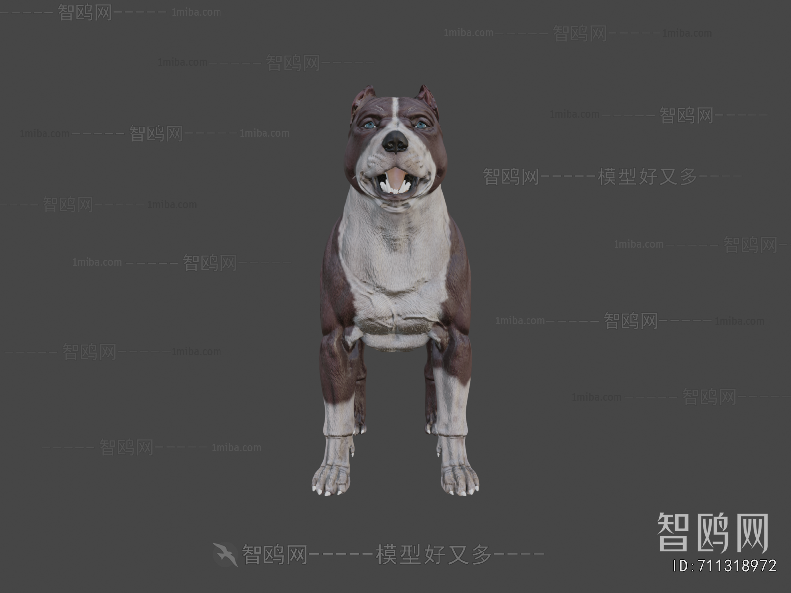 Modern Animal Dog