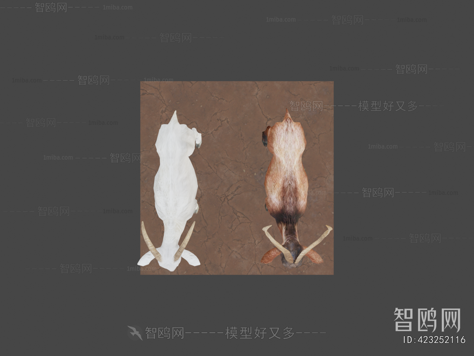 Modern Mammal