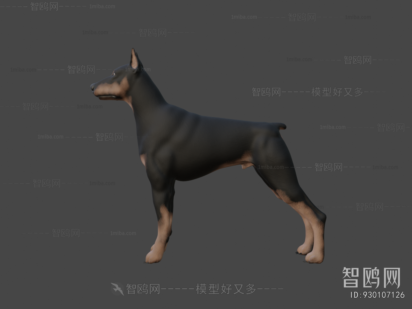 Modern Animal