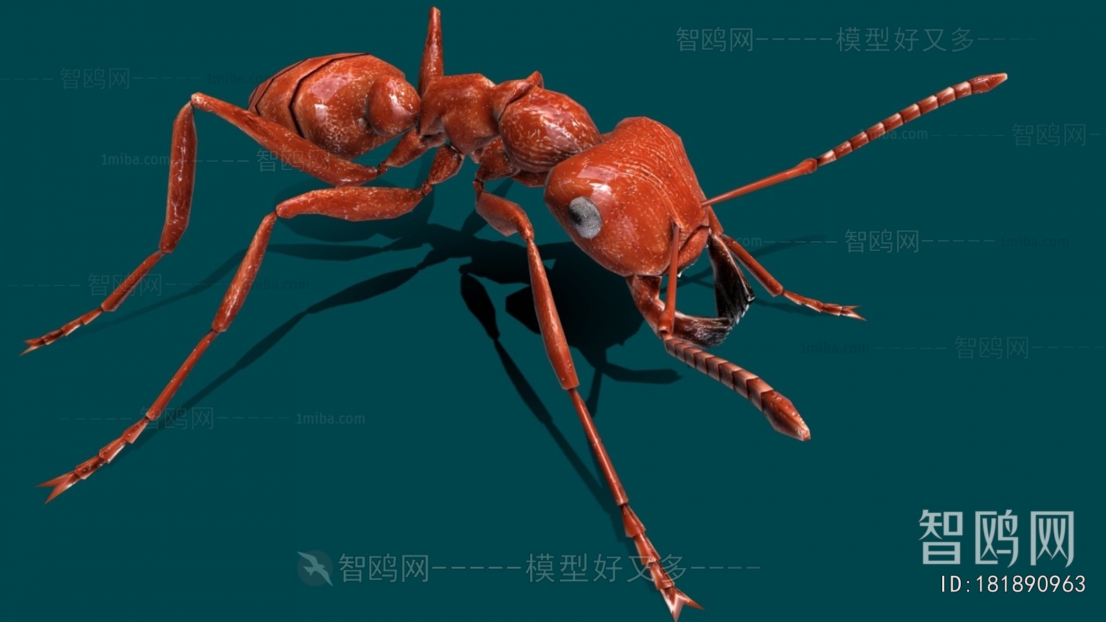 Modern Animal