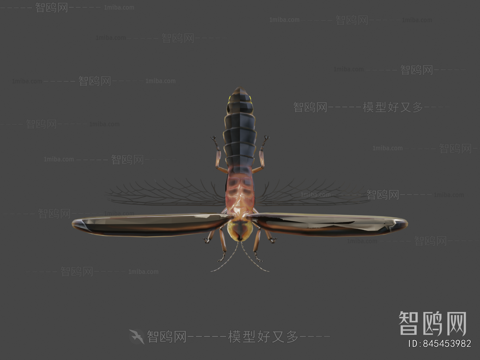 Modern Animal