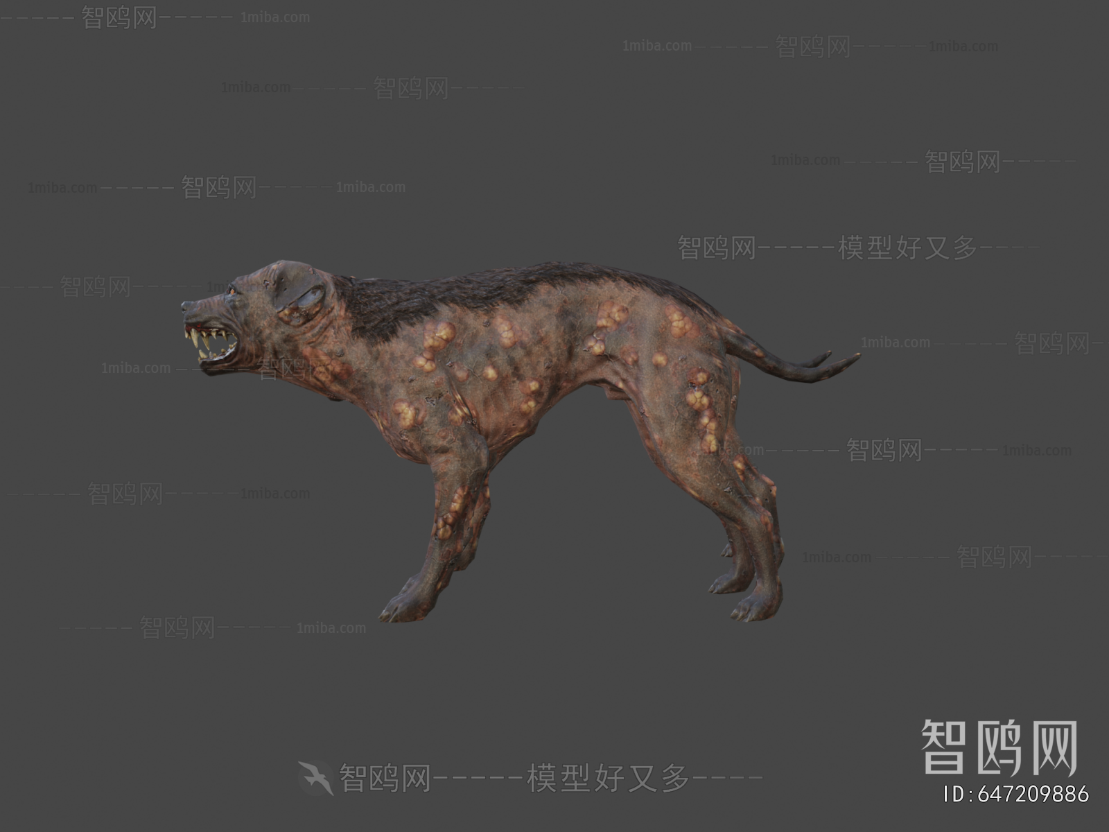 Modern Animal