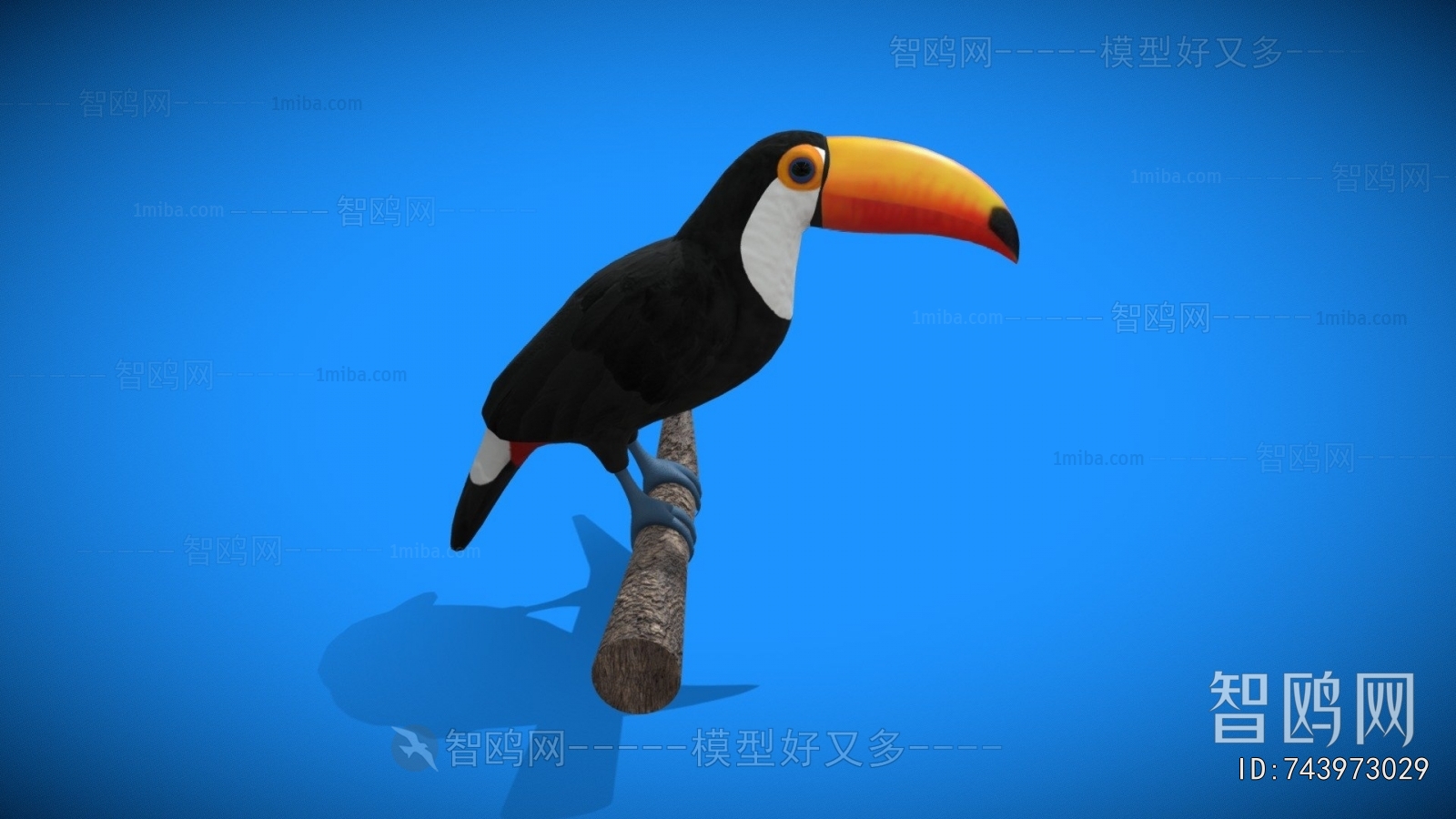 Modern Animal