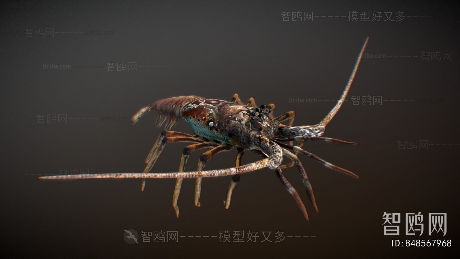 Modern Animal