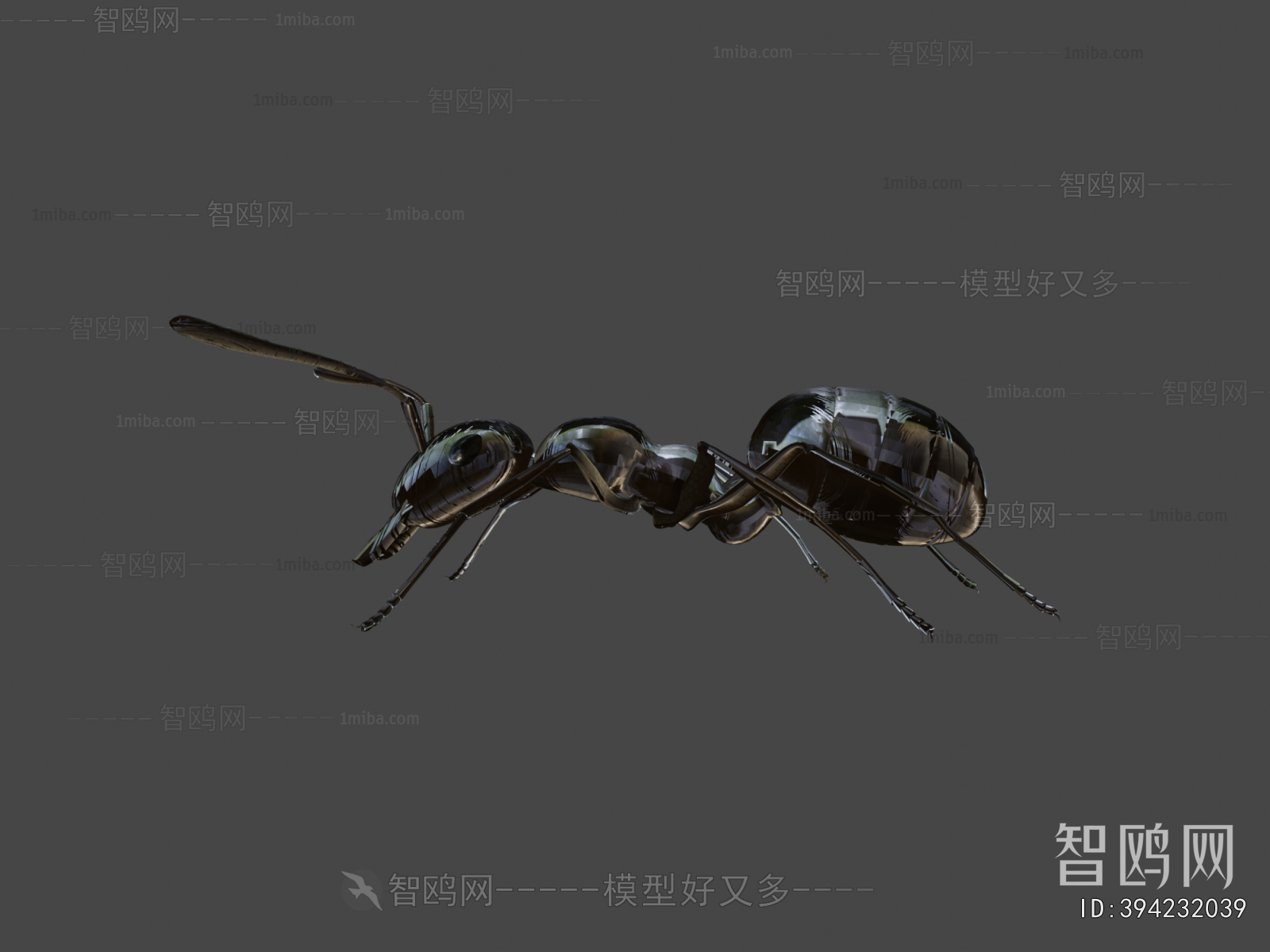 Modern Animal