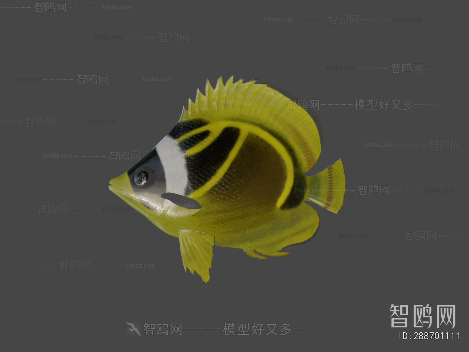 Modern Animal