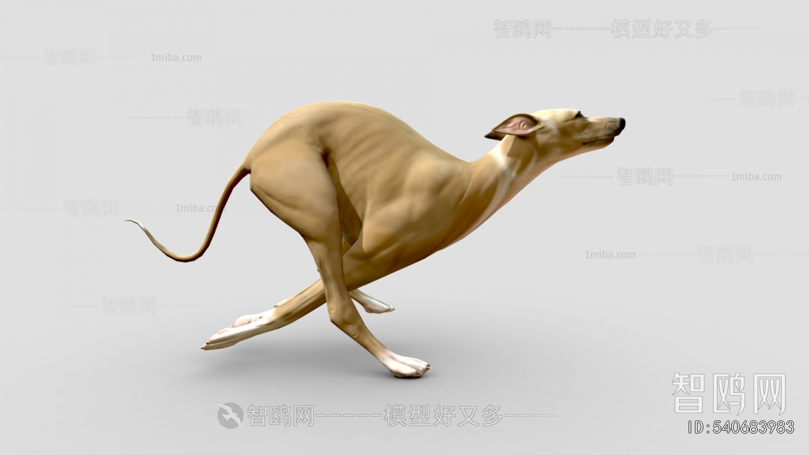 Modern Animal Dog