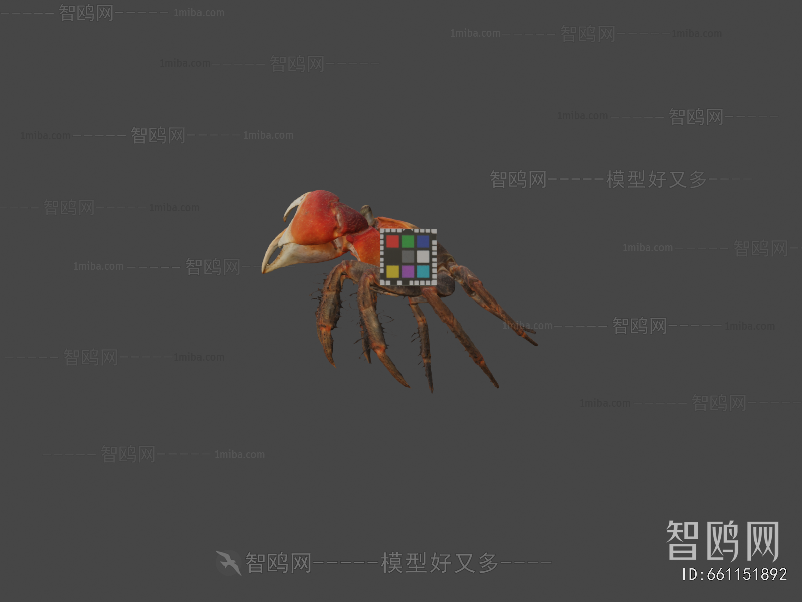 Modern Animal