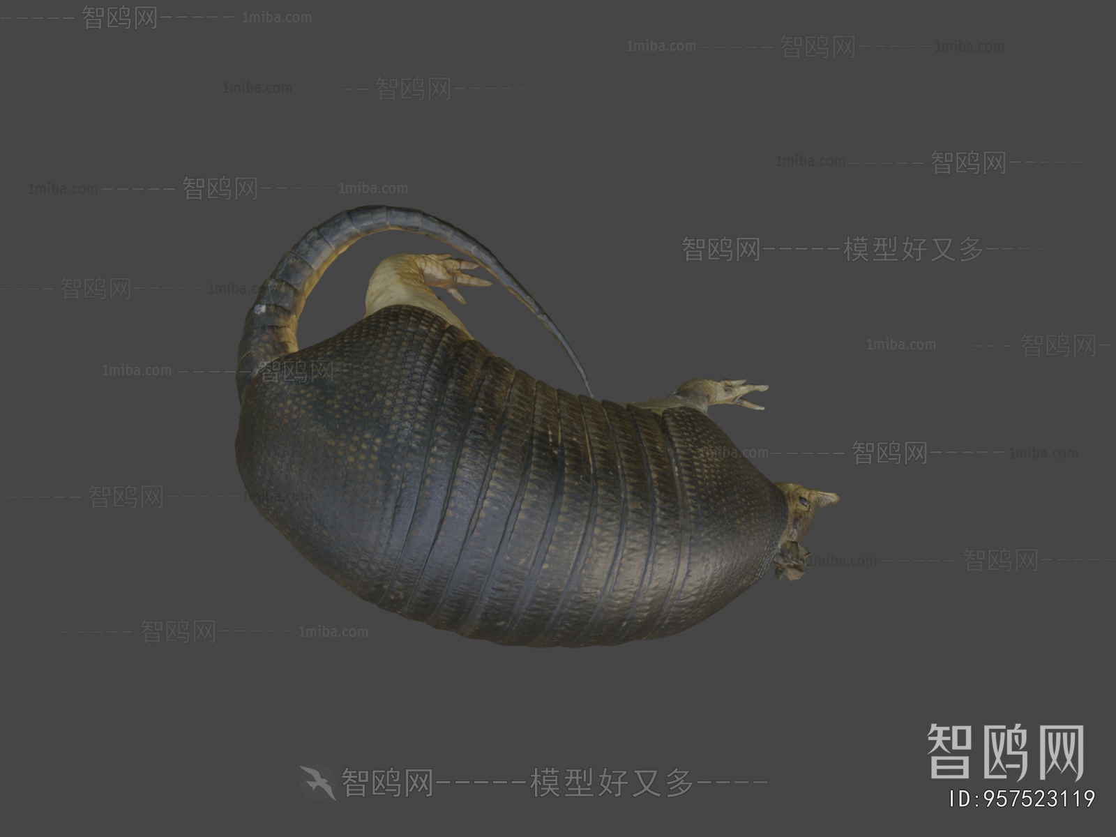 Modern Mammal