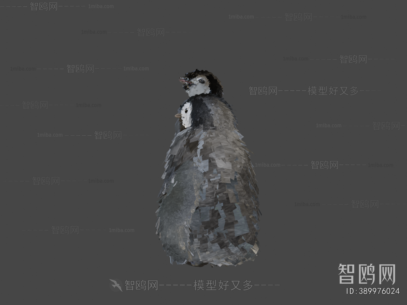 Modern Mammal