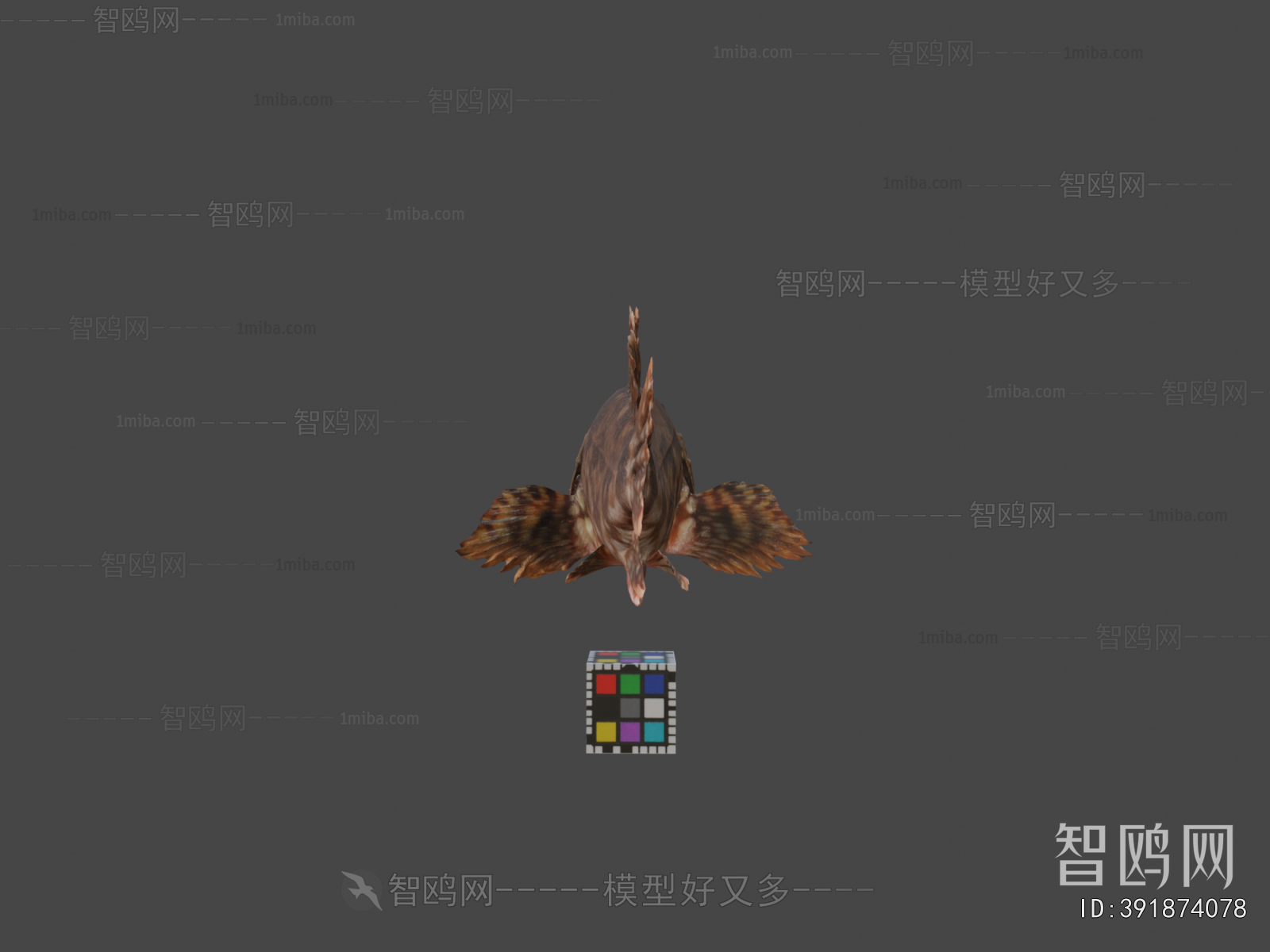 Modern Animal