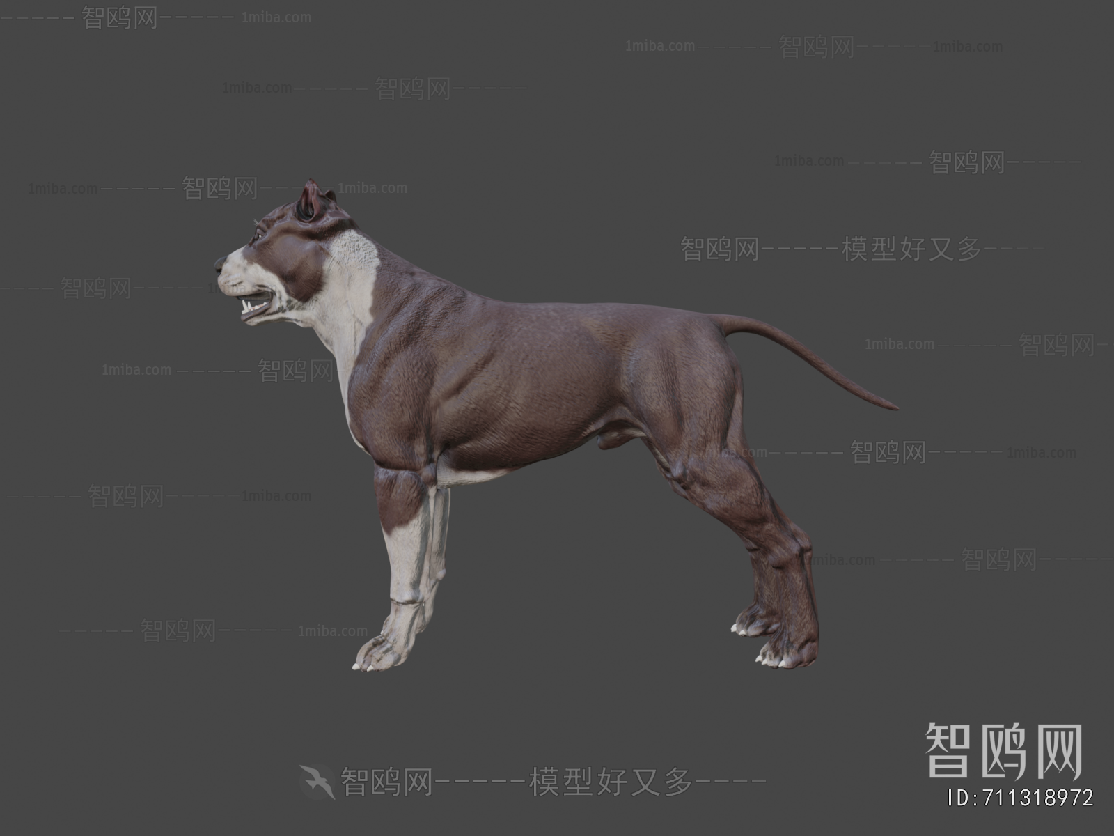 Modern Animal Dog