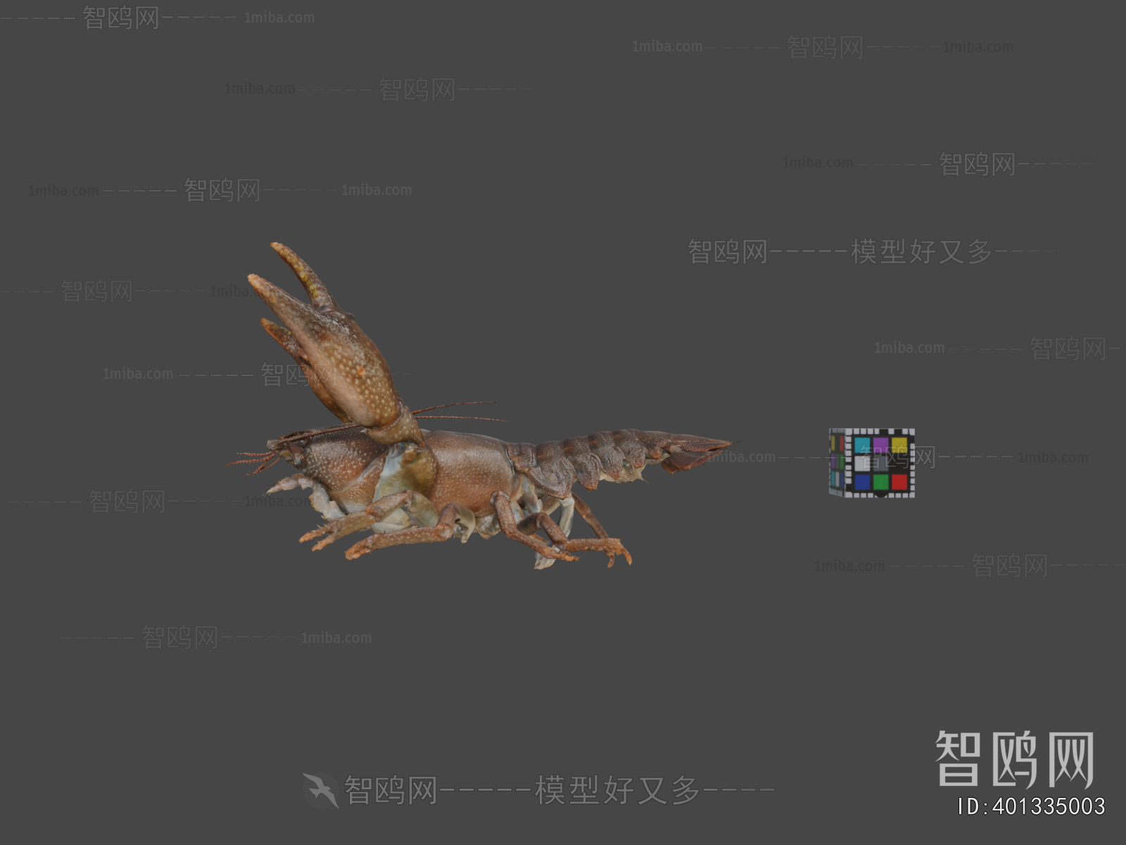 Modern Animal