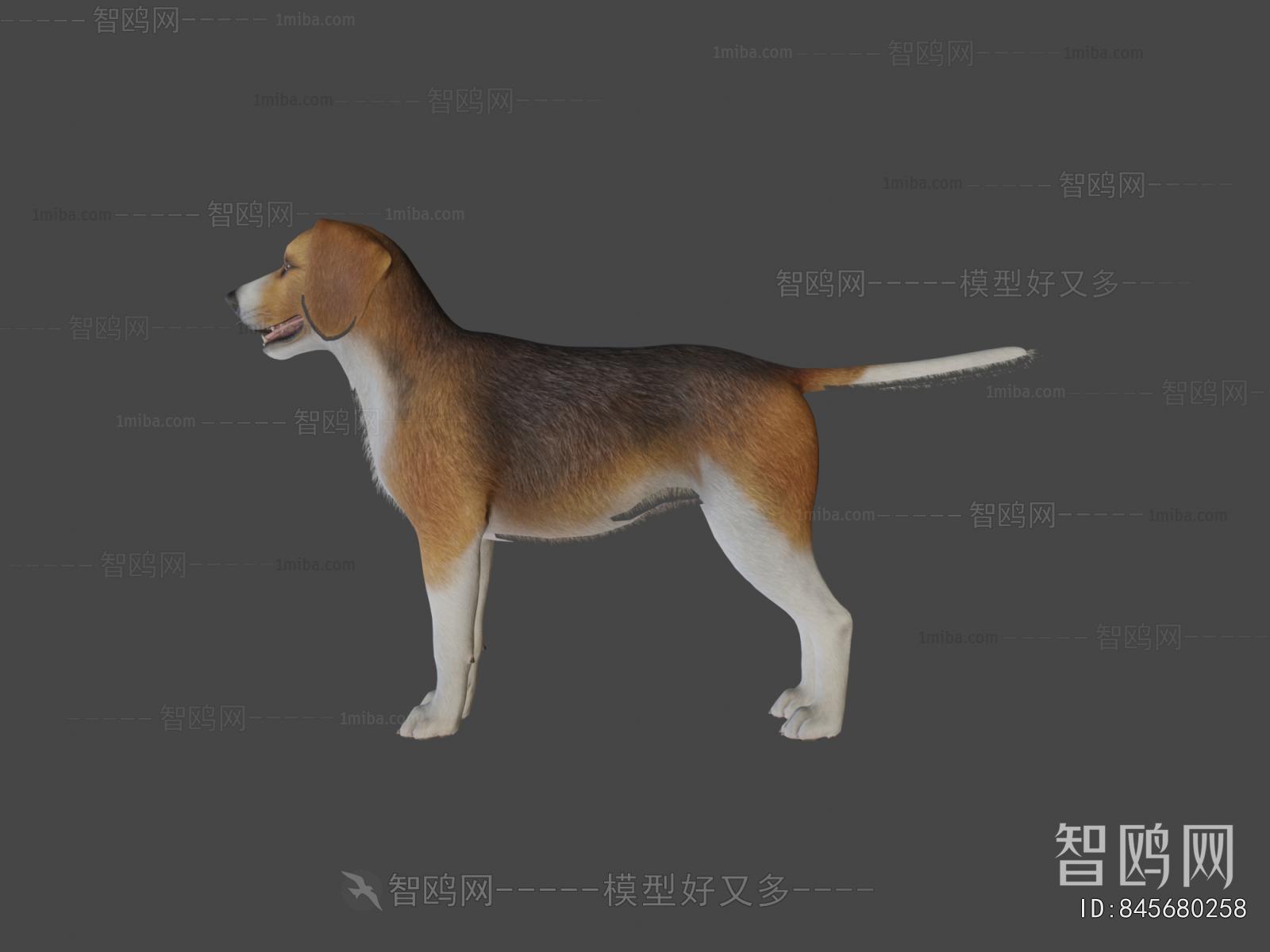 Modern Animal Dog
