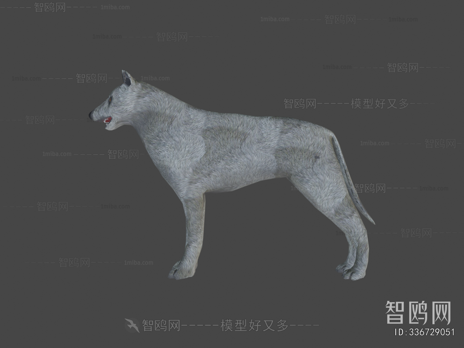 Modern Animal