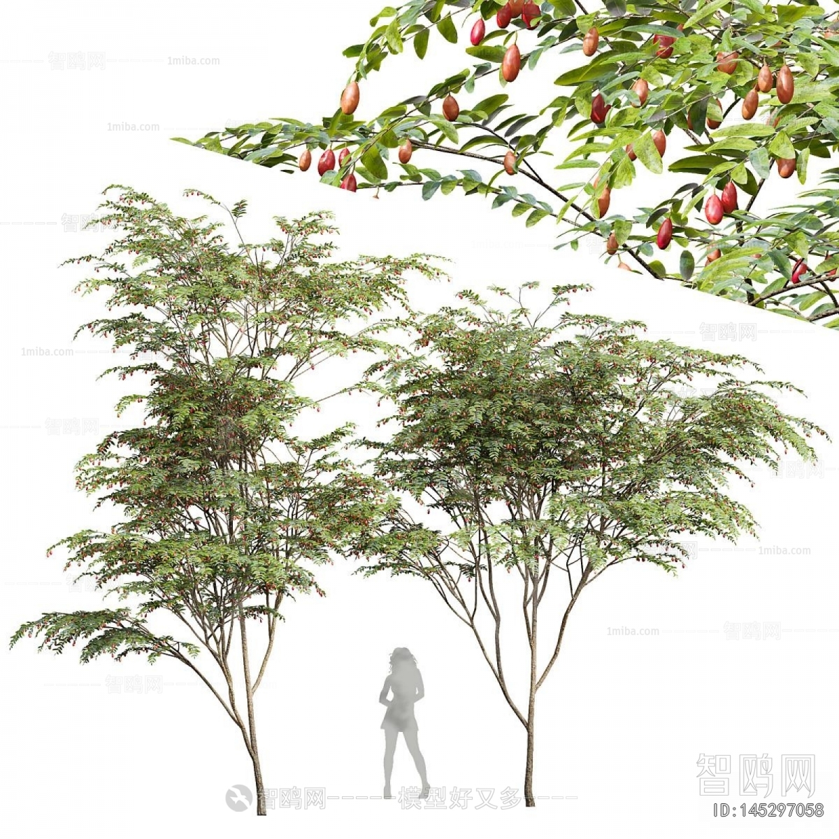 Modern Tree