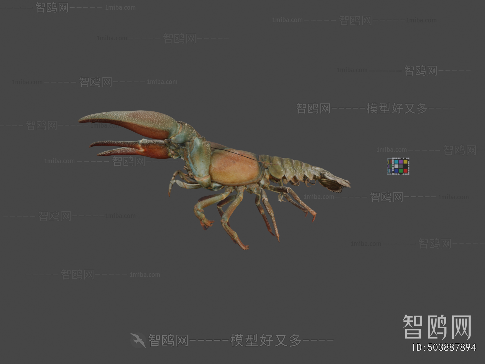 Modern Animal