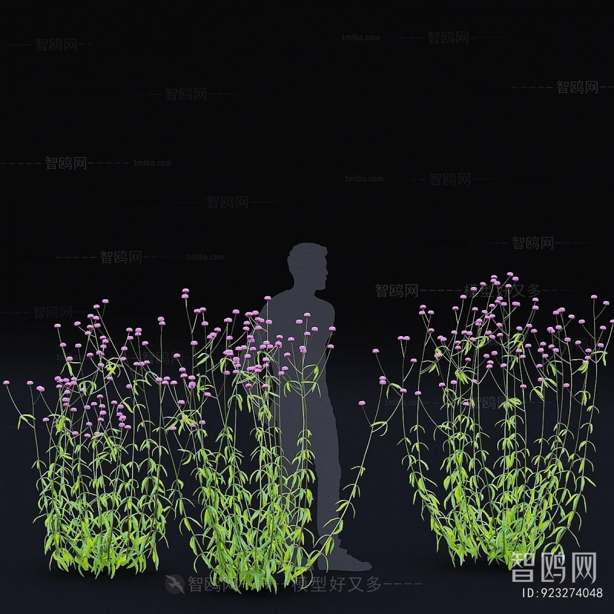 Modern Flowers And Grass