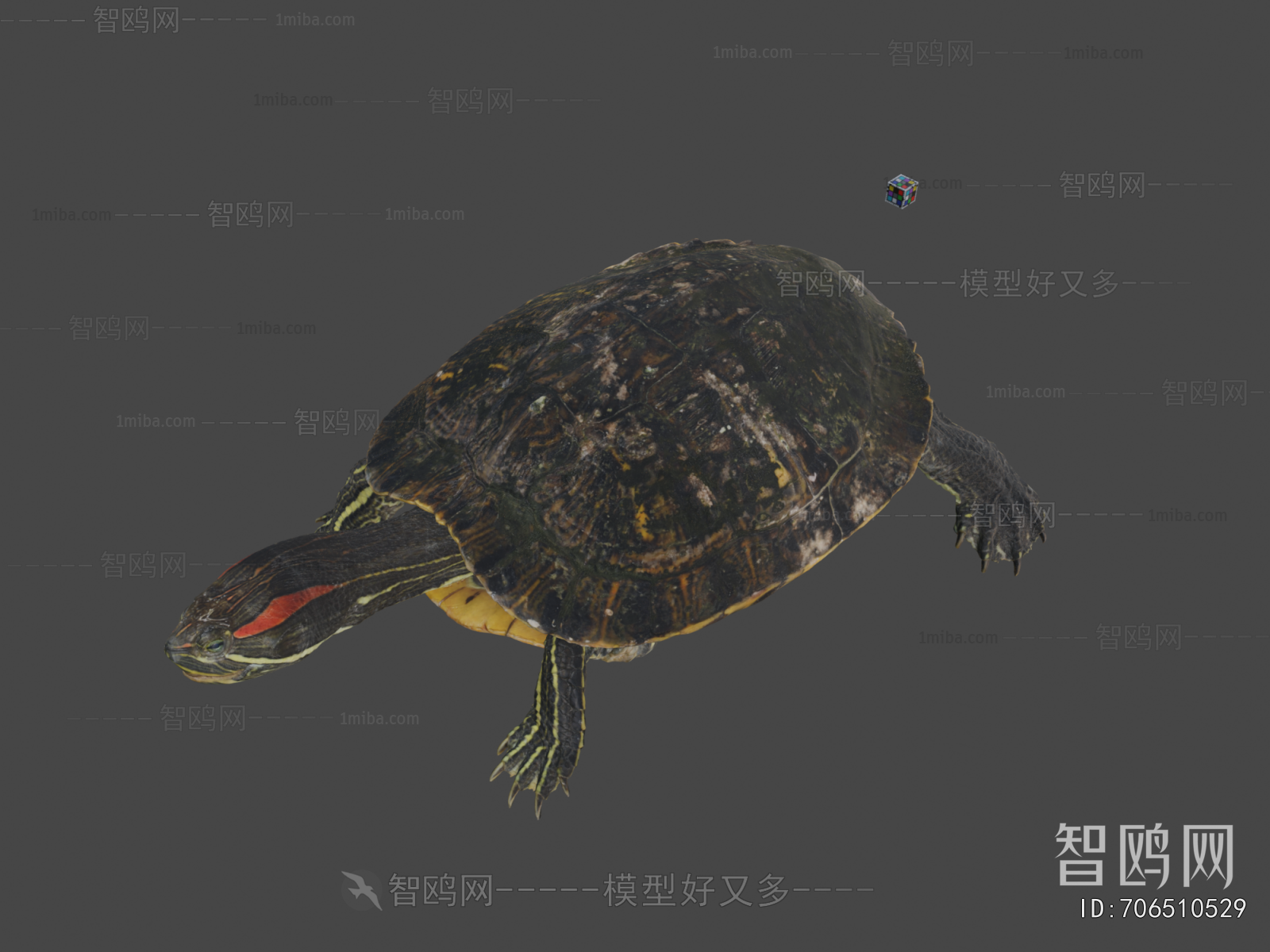 Modern Reptile