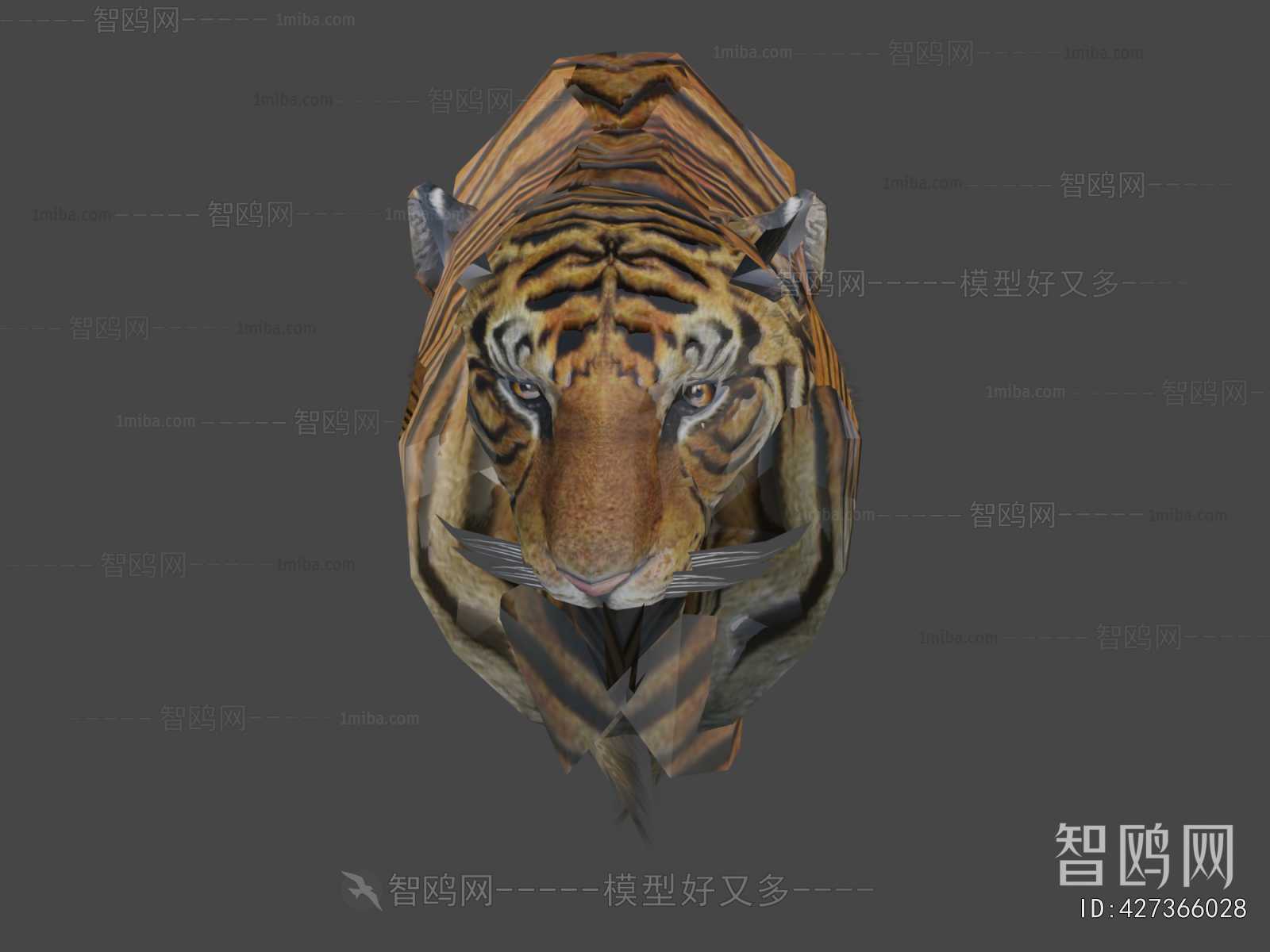 Modern Mammal