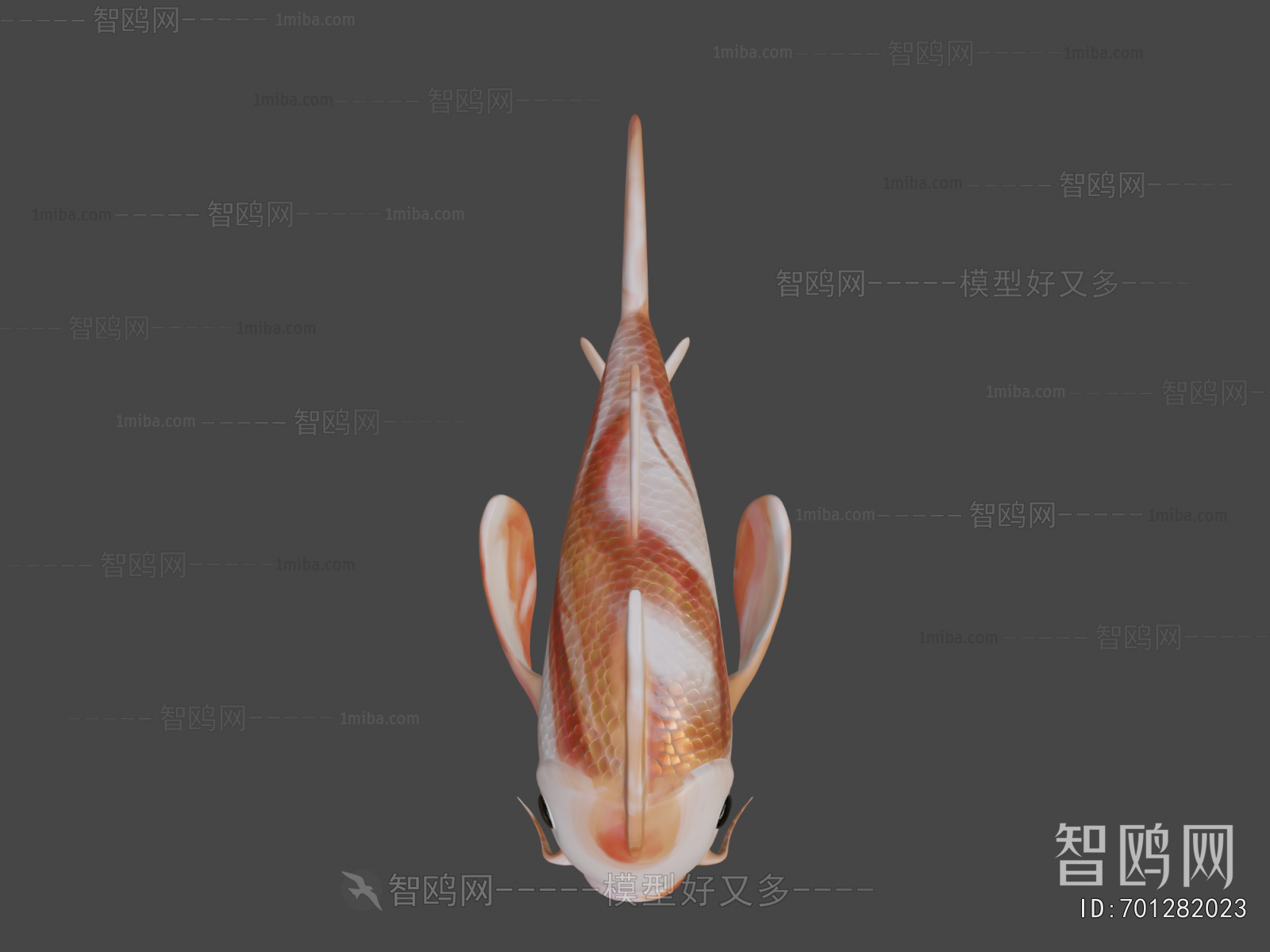 Modern Aquatic Animals