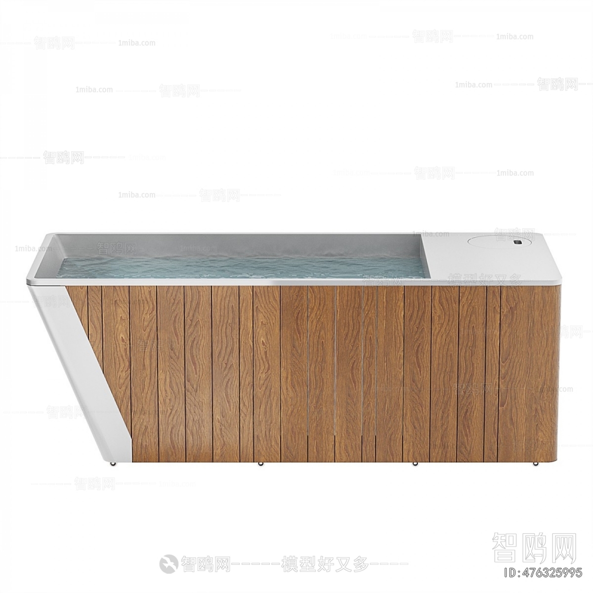 Modern Bathtub