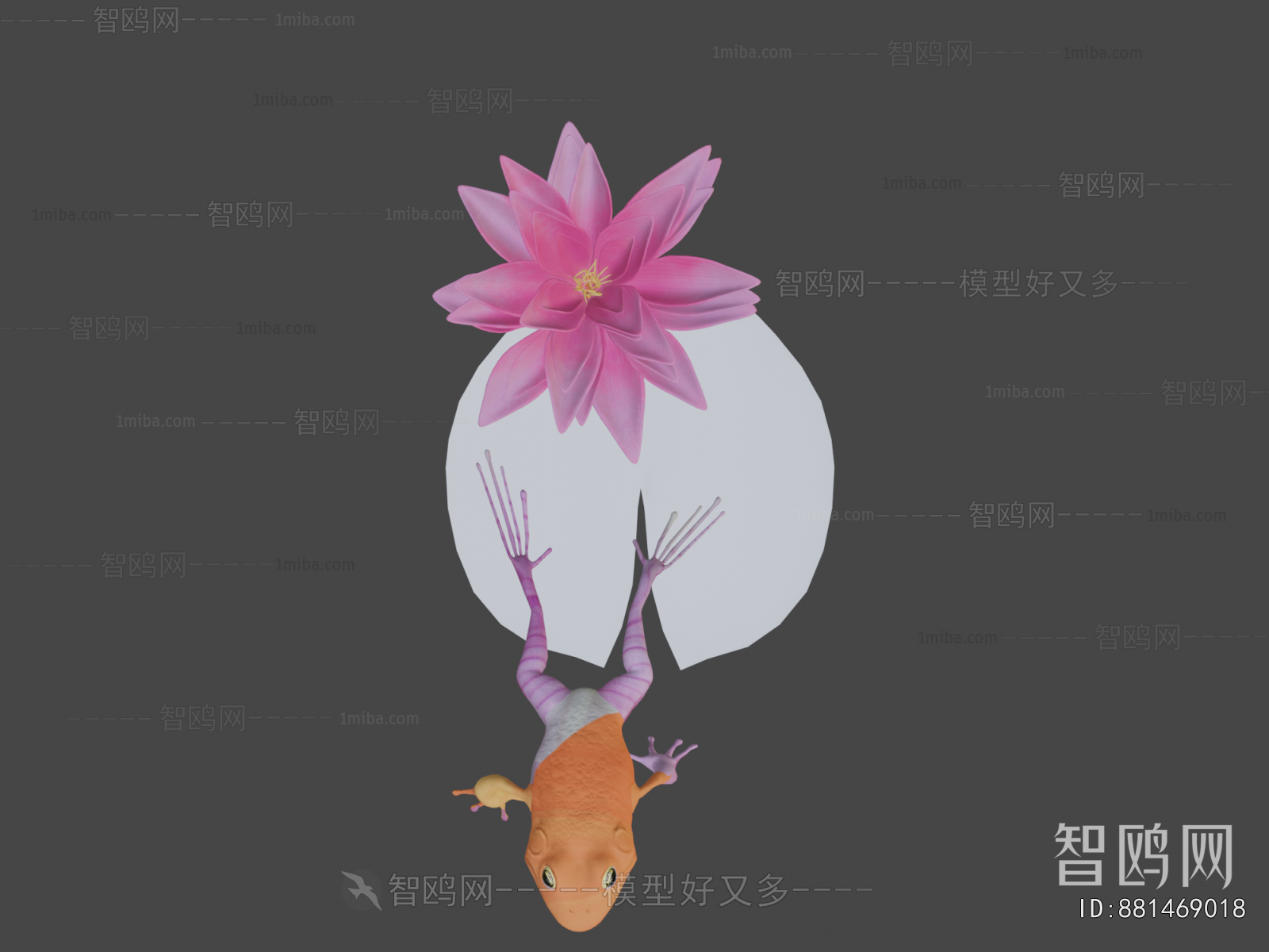 Modern Aquatic Animals