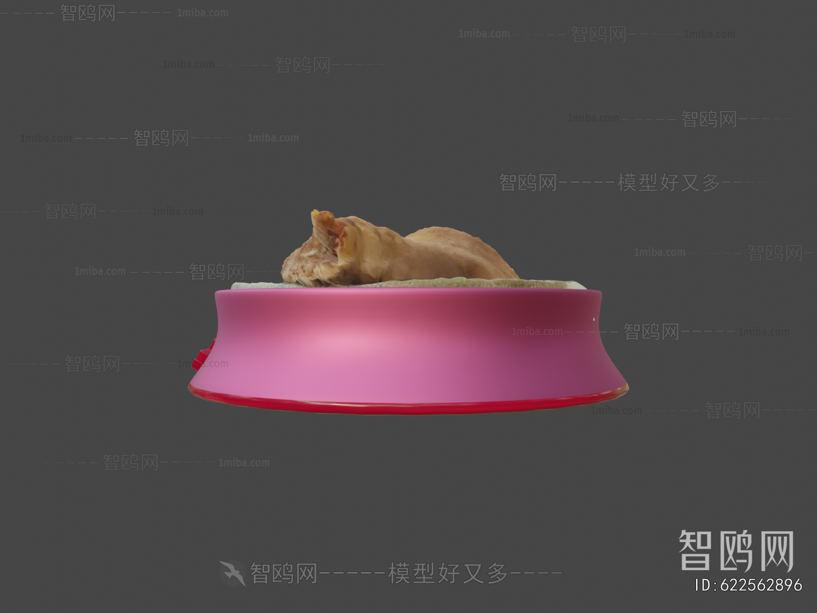 Modern Animal Cat