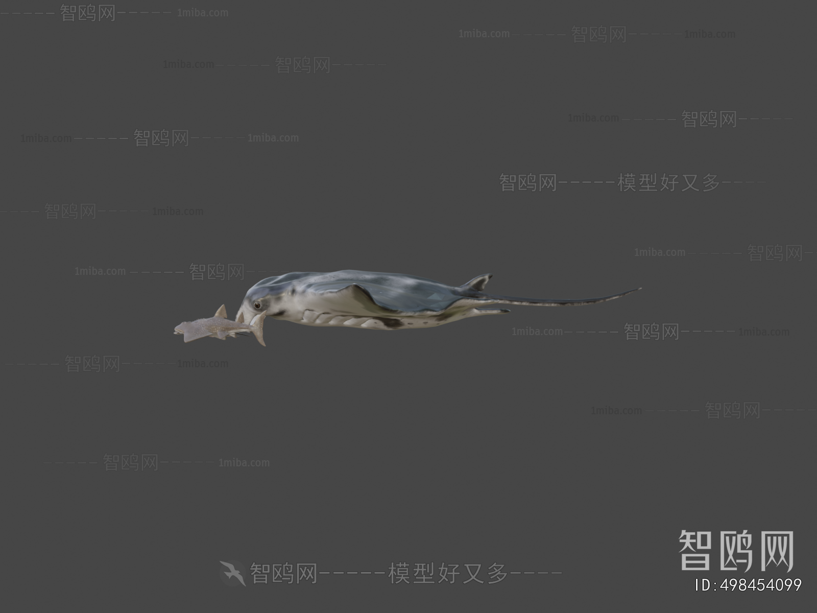 Modern Animal