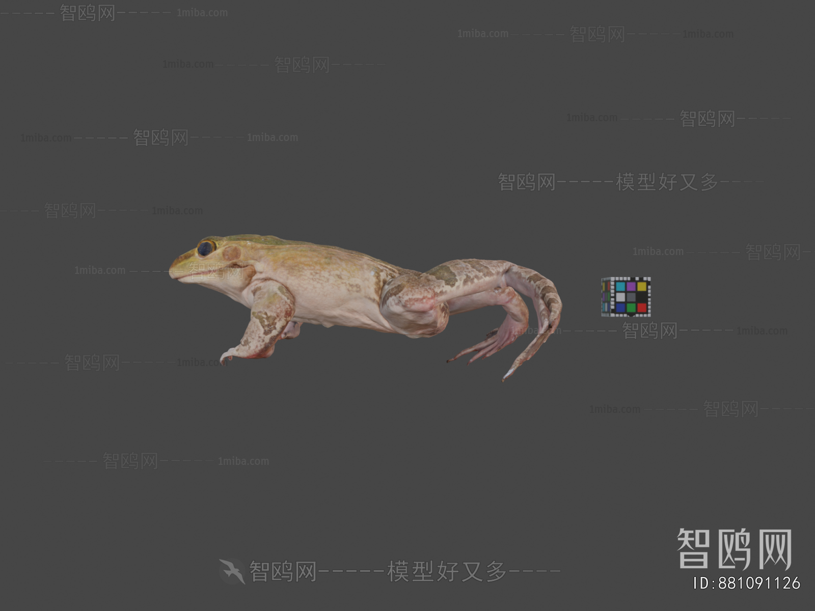 Modern Animal