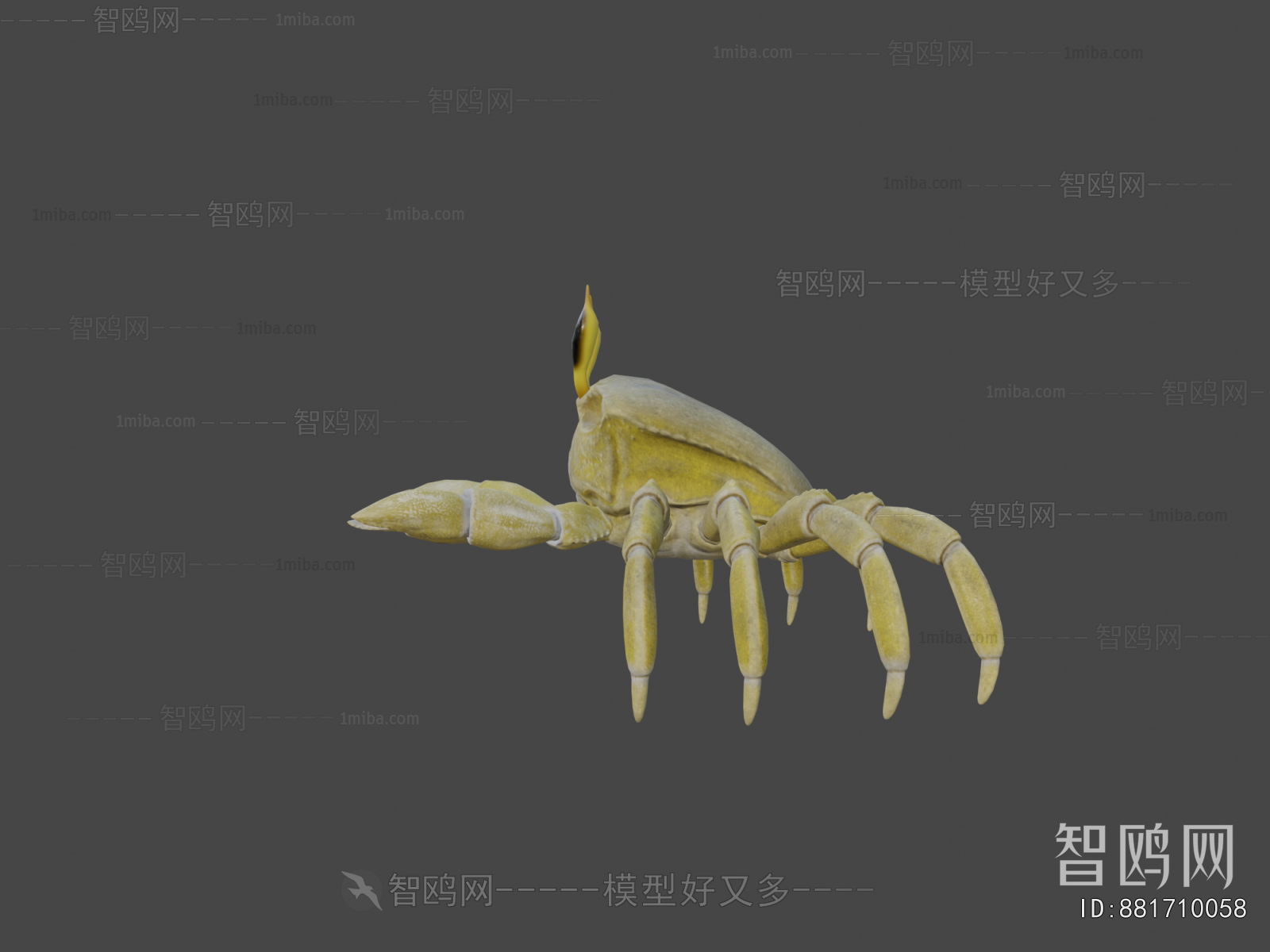 Modern Animal
