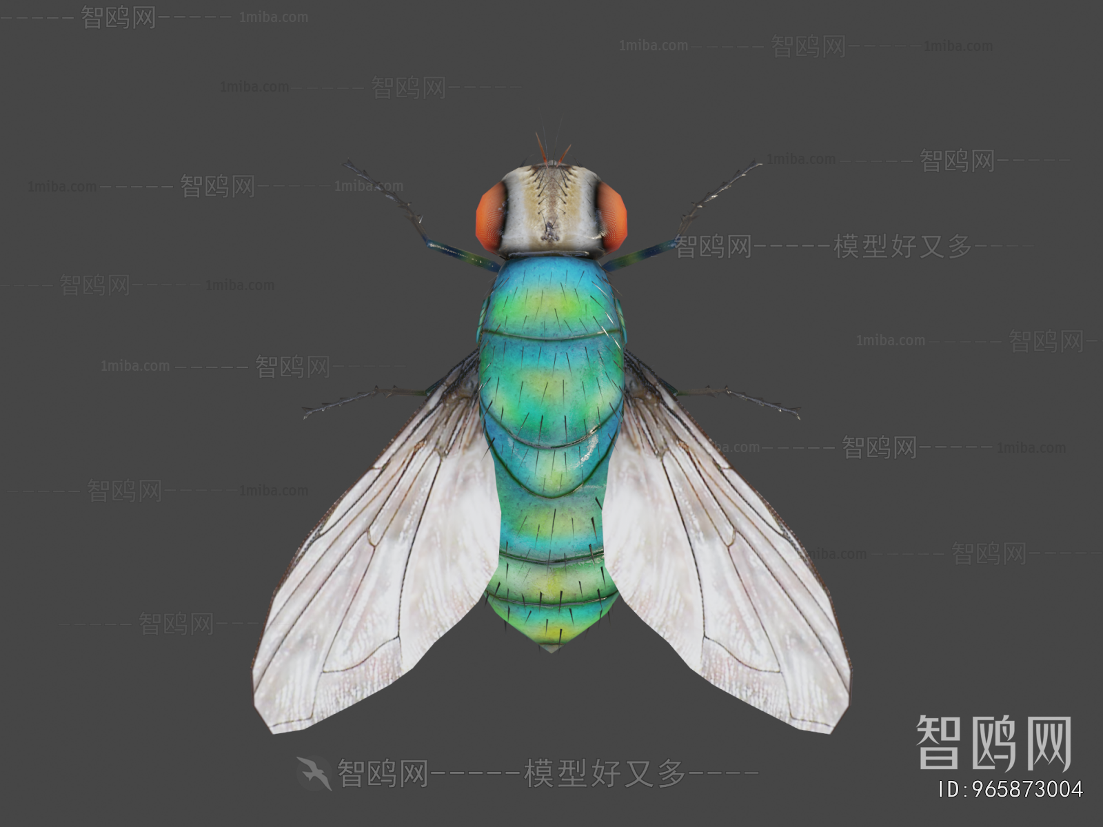 Modern Animal